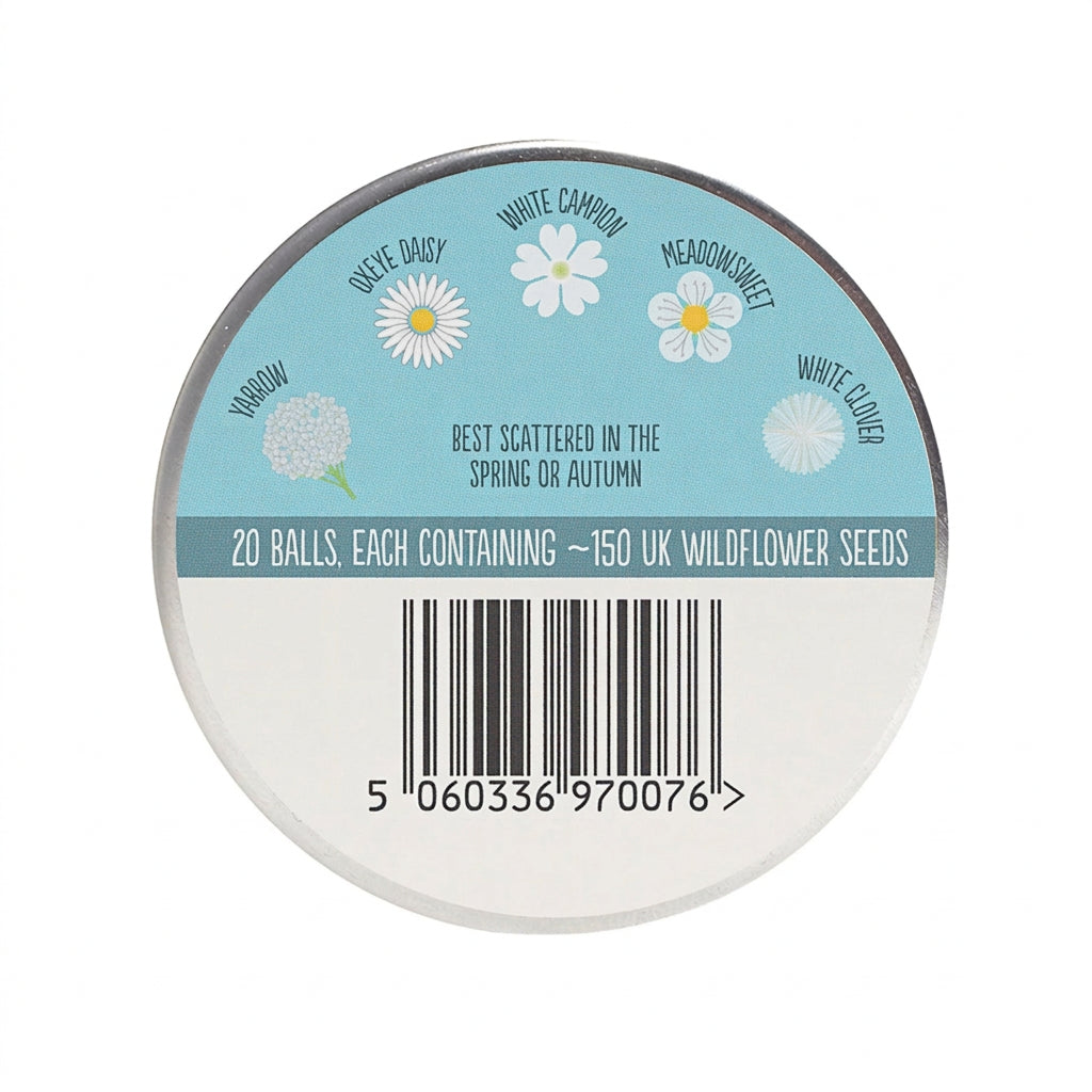 Let it snow seed tin