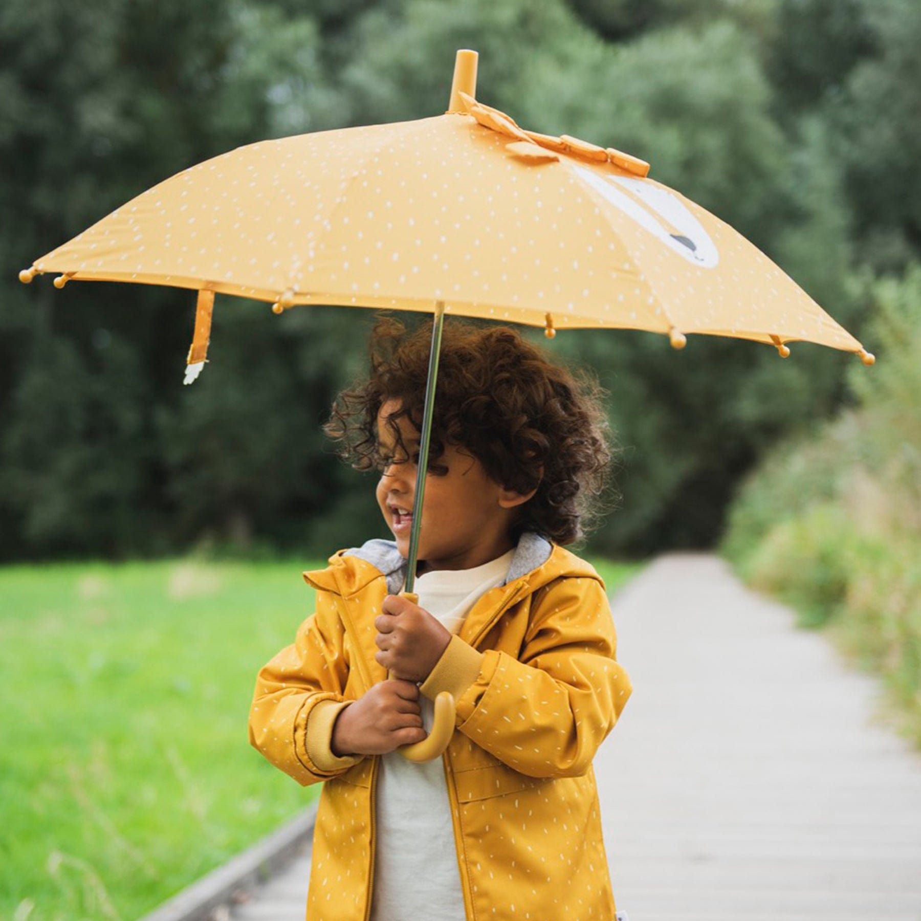 Umbrella - lion