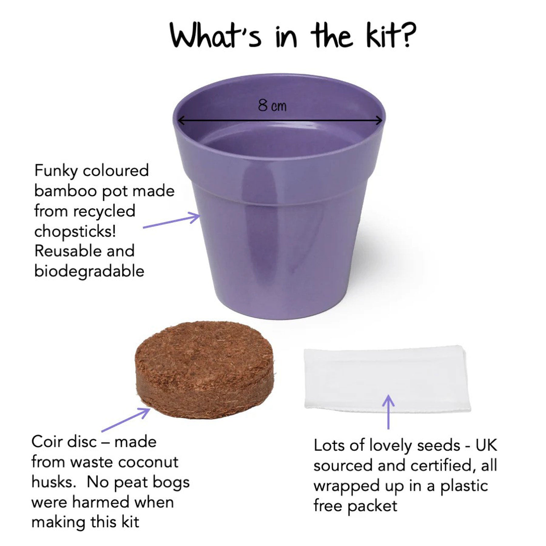 Little nature explorer cornflower growing kit