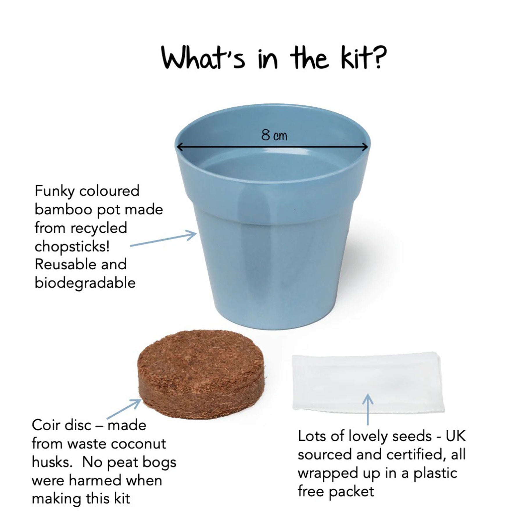 Little nature explorer forget-me-not growing kit