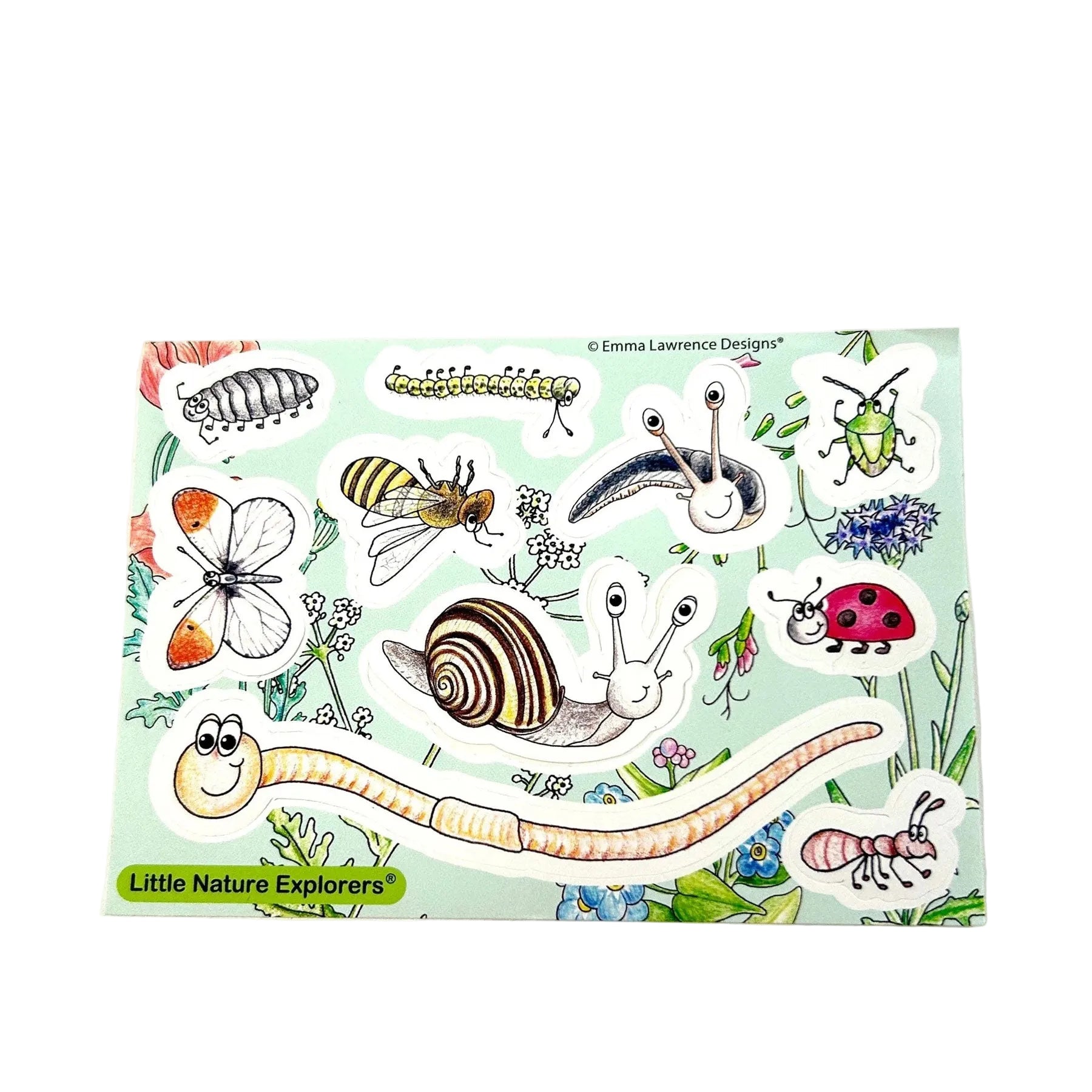 Little nature explorer cornflower growing kit