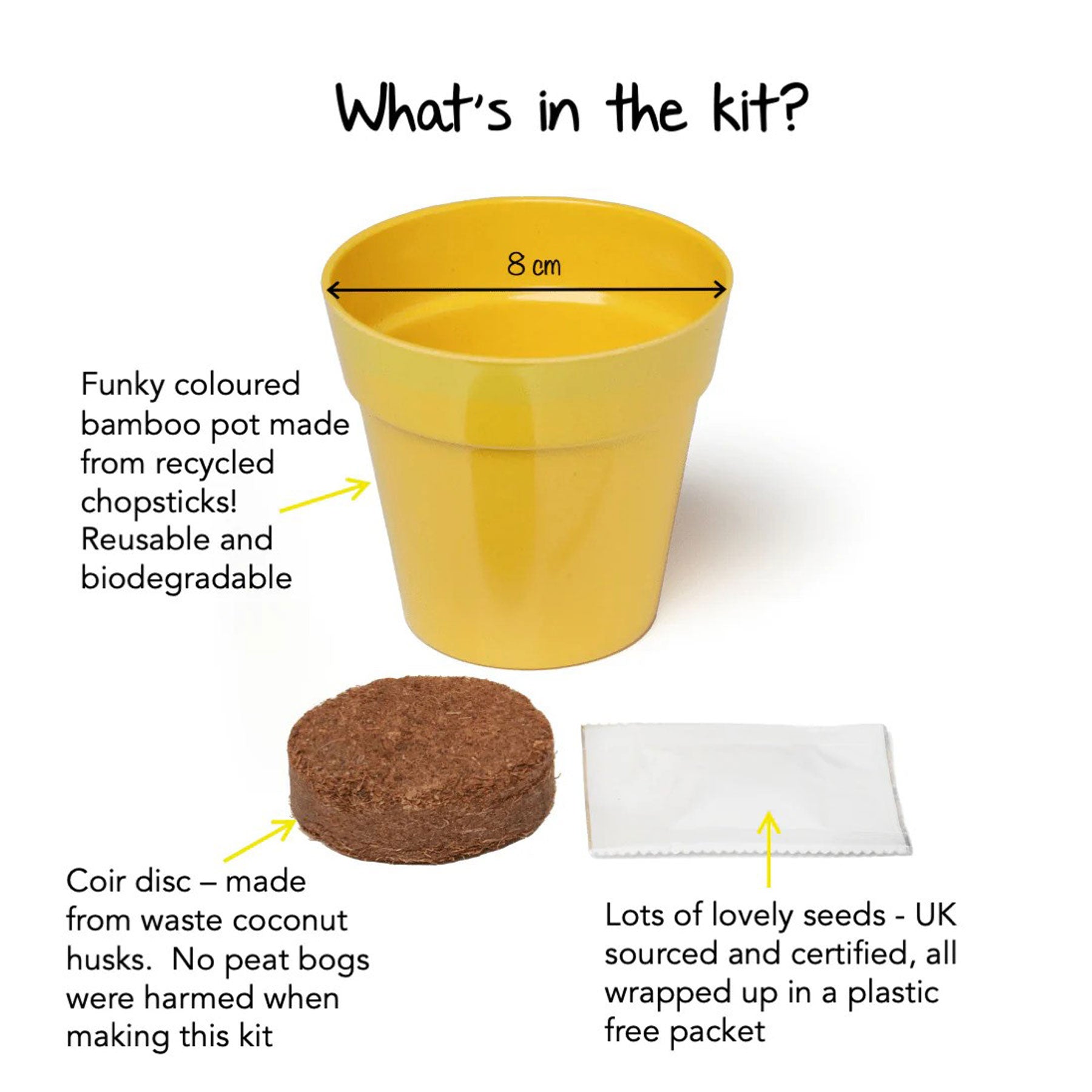 Little nature explorer ox-eye daisy growing kit