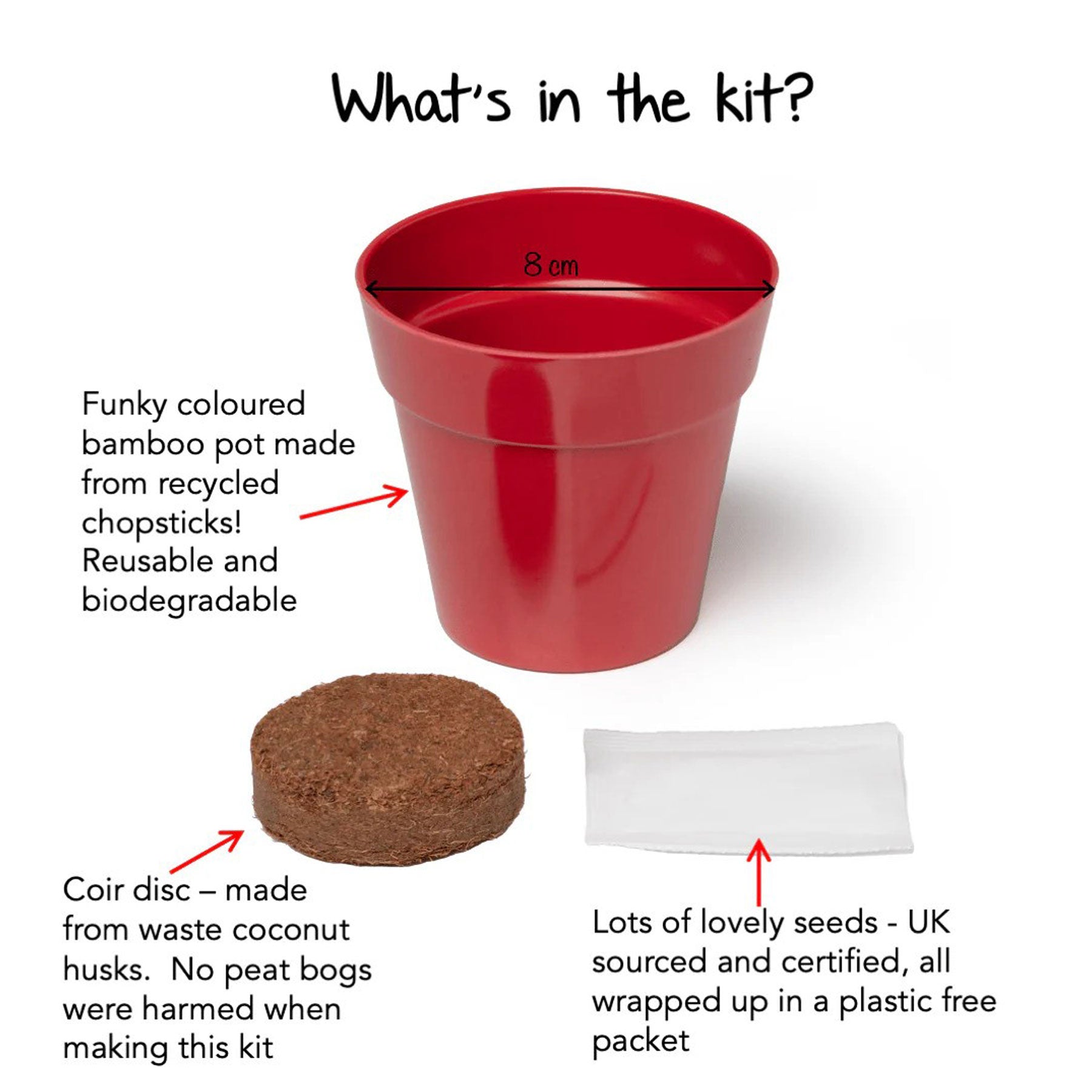 Little nature explorer poppy growing kit