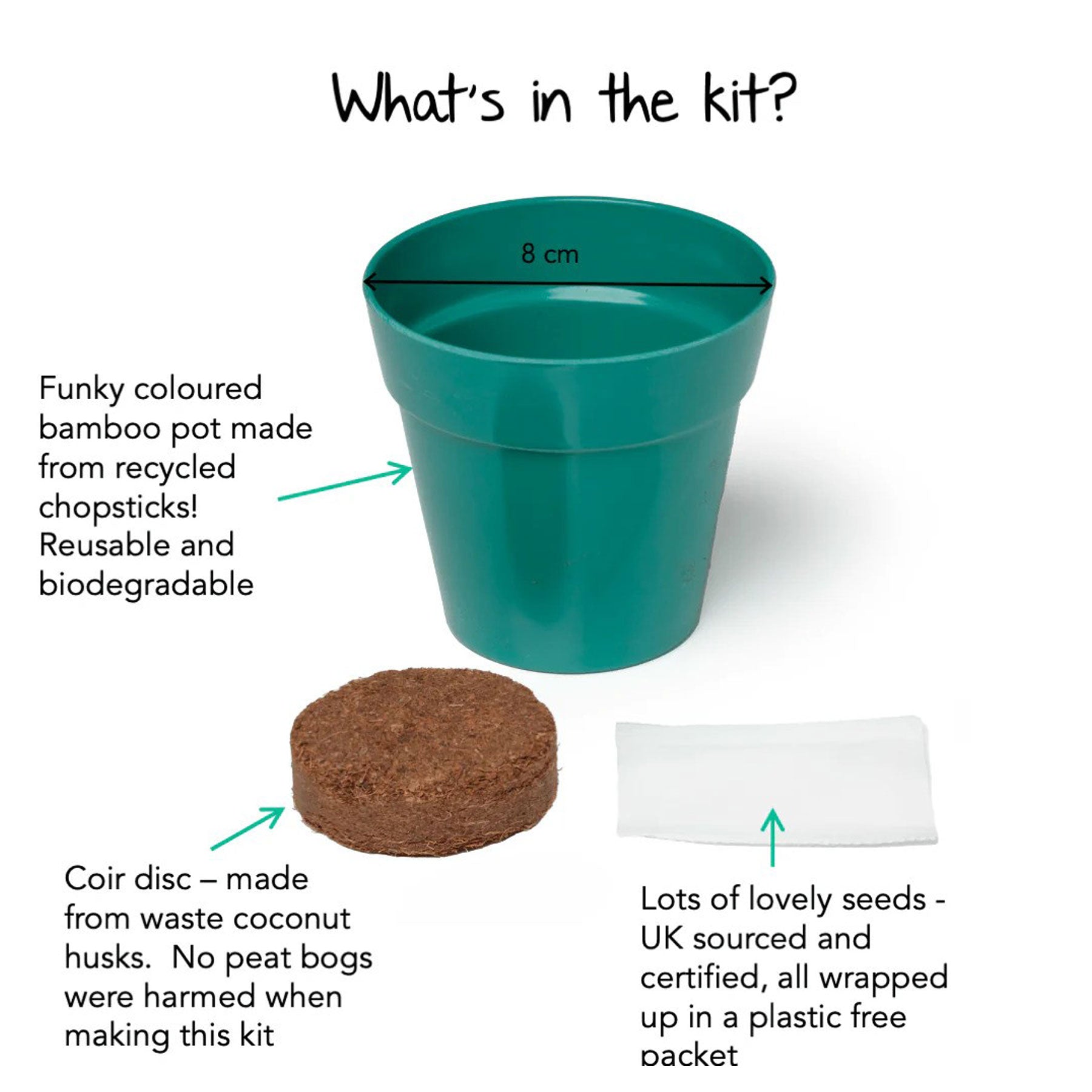 Little nature explorer wildflowers growing kit