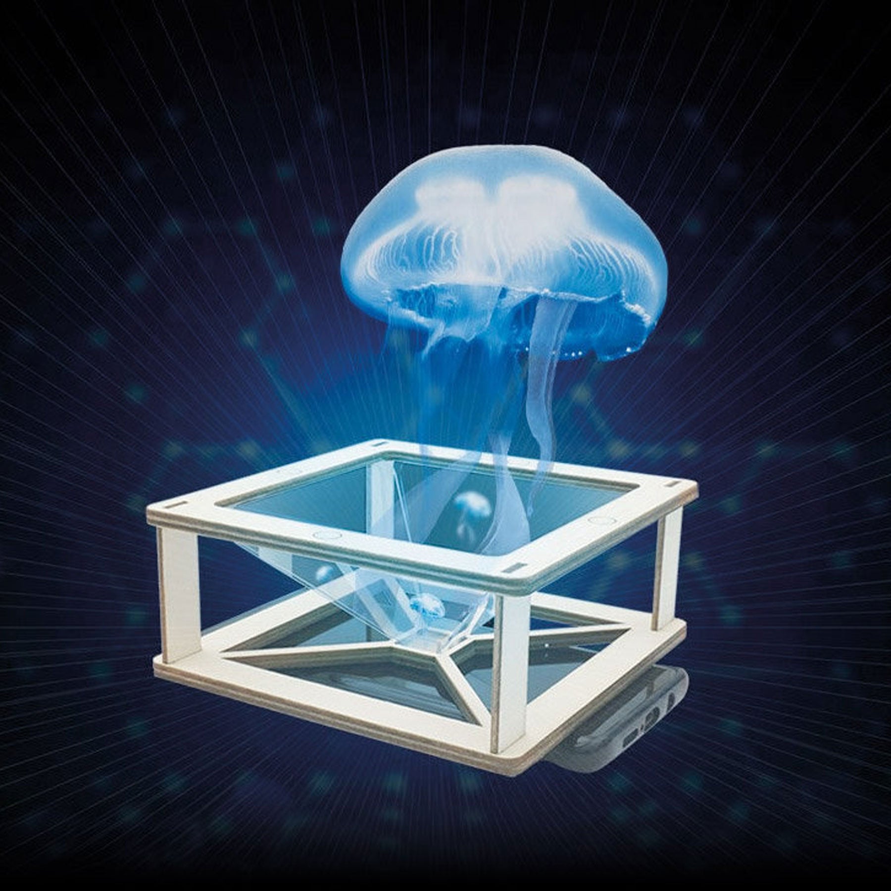 Make your own 3D hologram visualiser