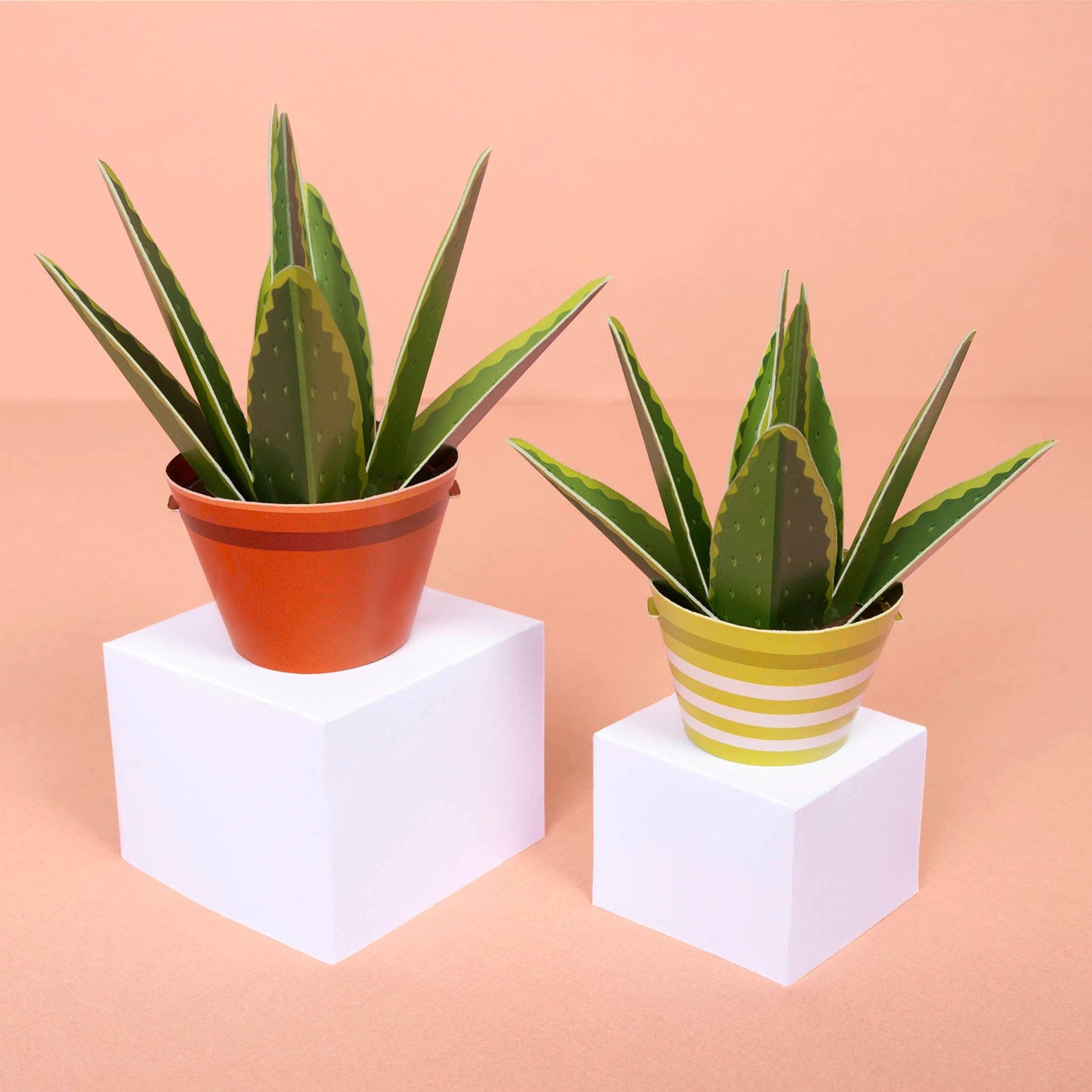 Make your own healing aloe vera paper plant kit