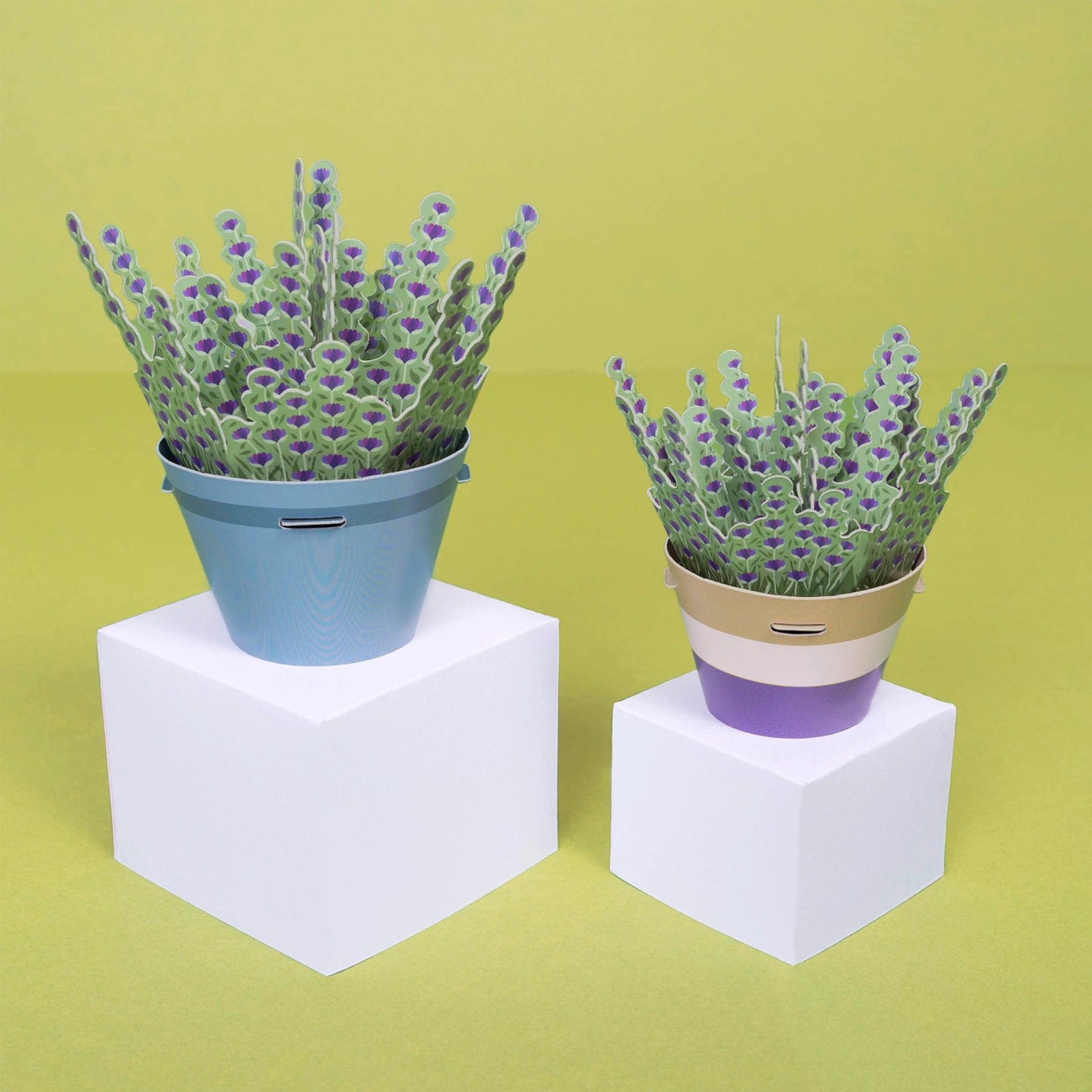 Make your own calming lavender paper plant kit
