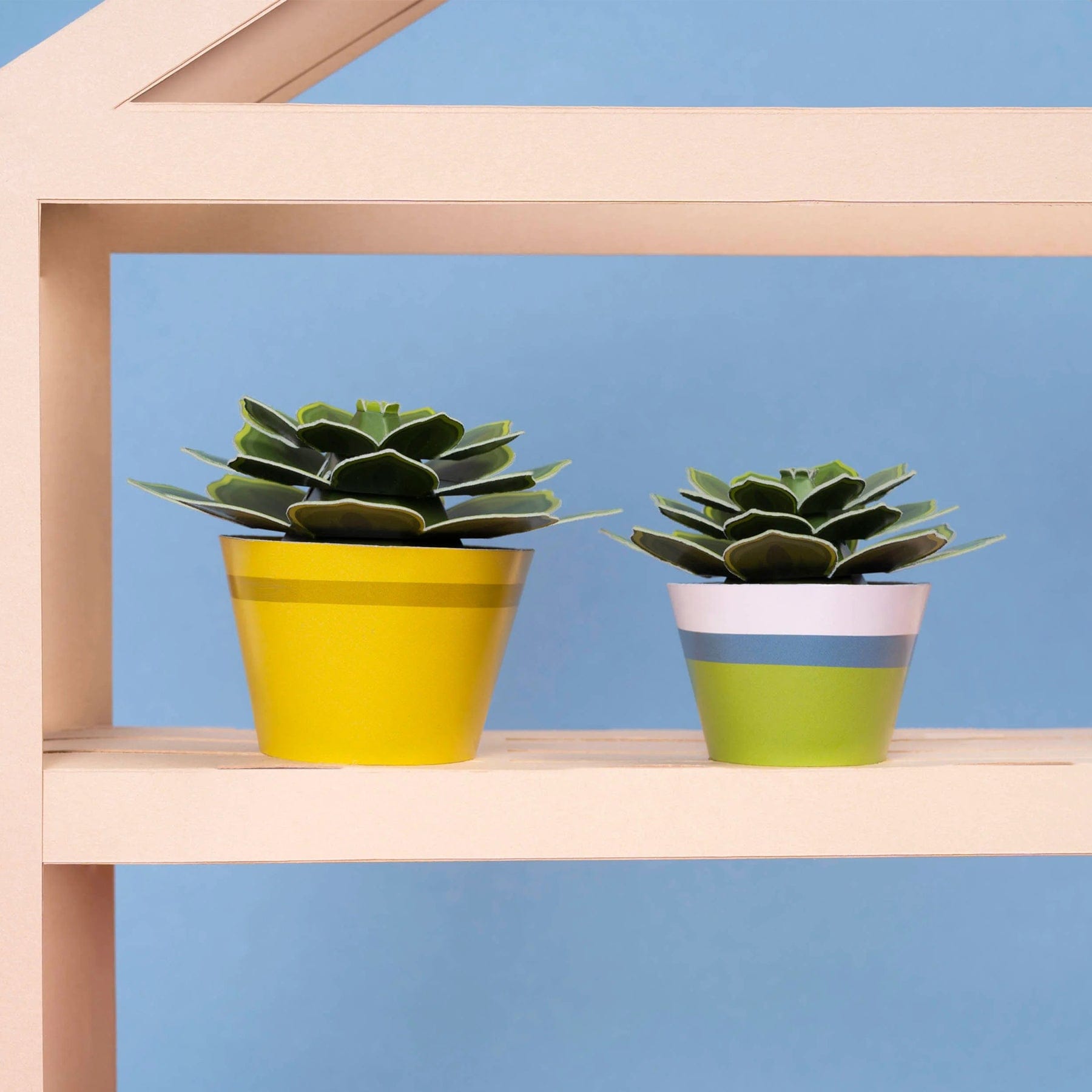 Make your own soothing succulent paper plant kit