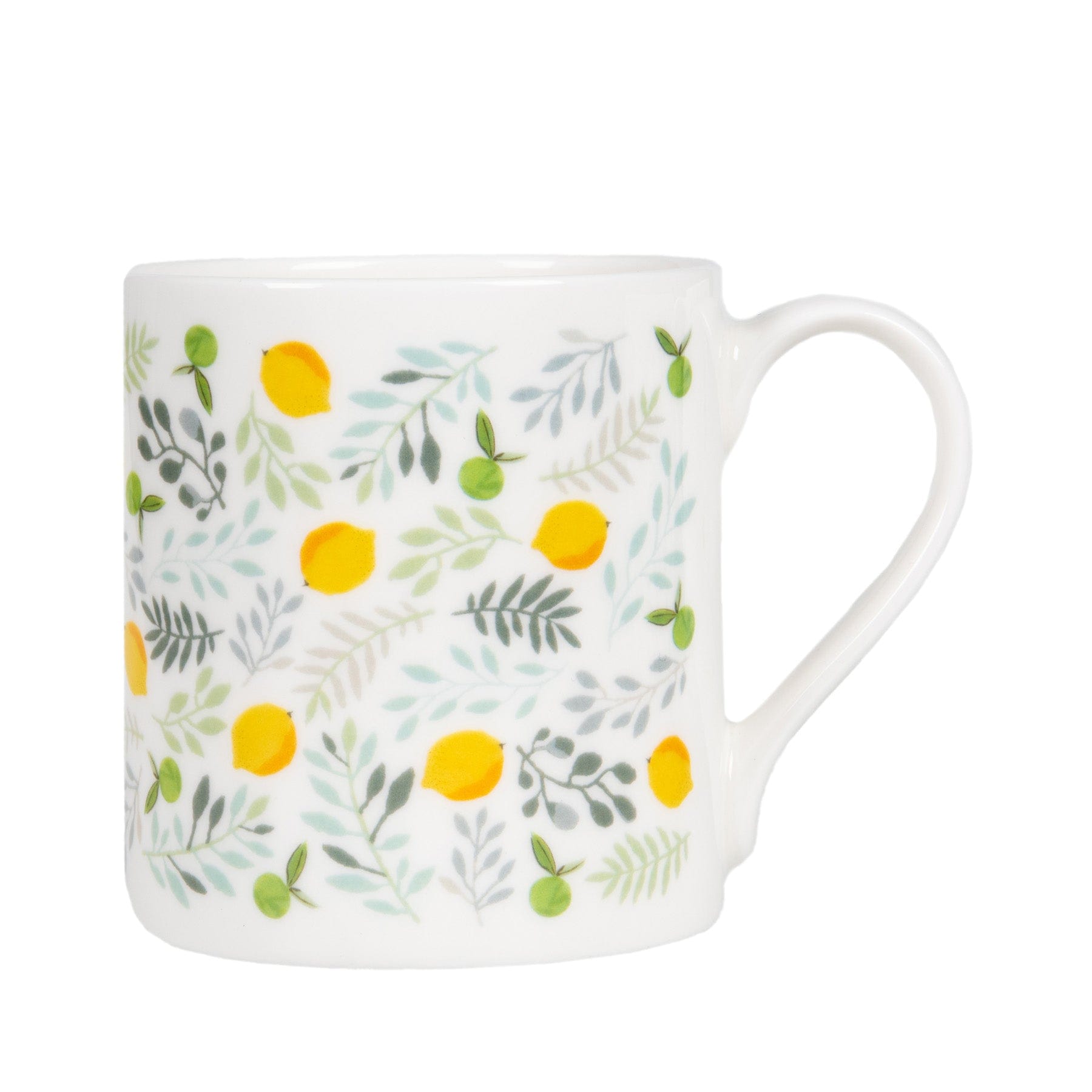White ceramic mug with floral and citrus pattern, lemon and leaf design, isolated on white background, porcelain cup with handle