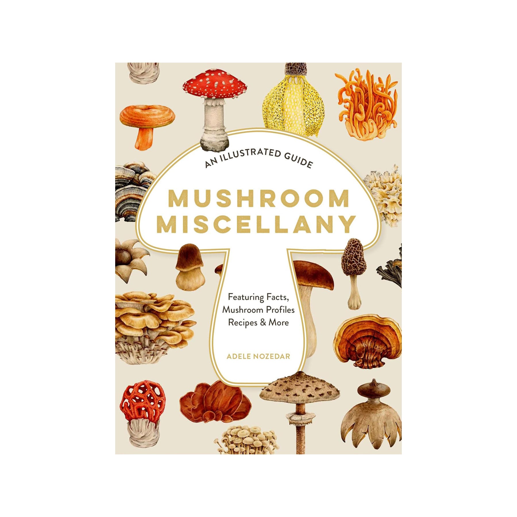 Mushroom miscellany