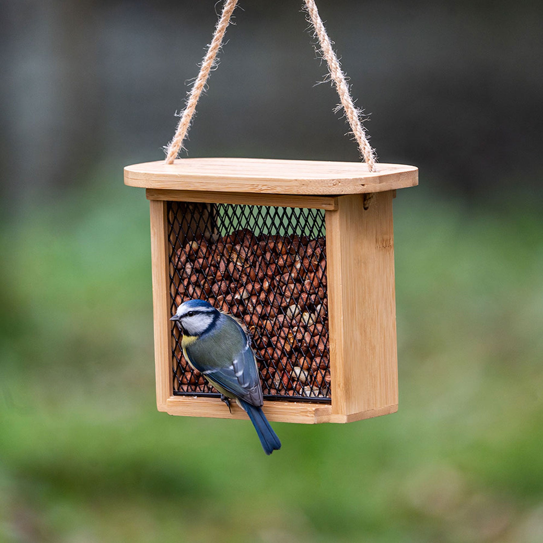 Nagano peanut & suet feeder