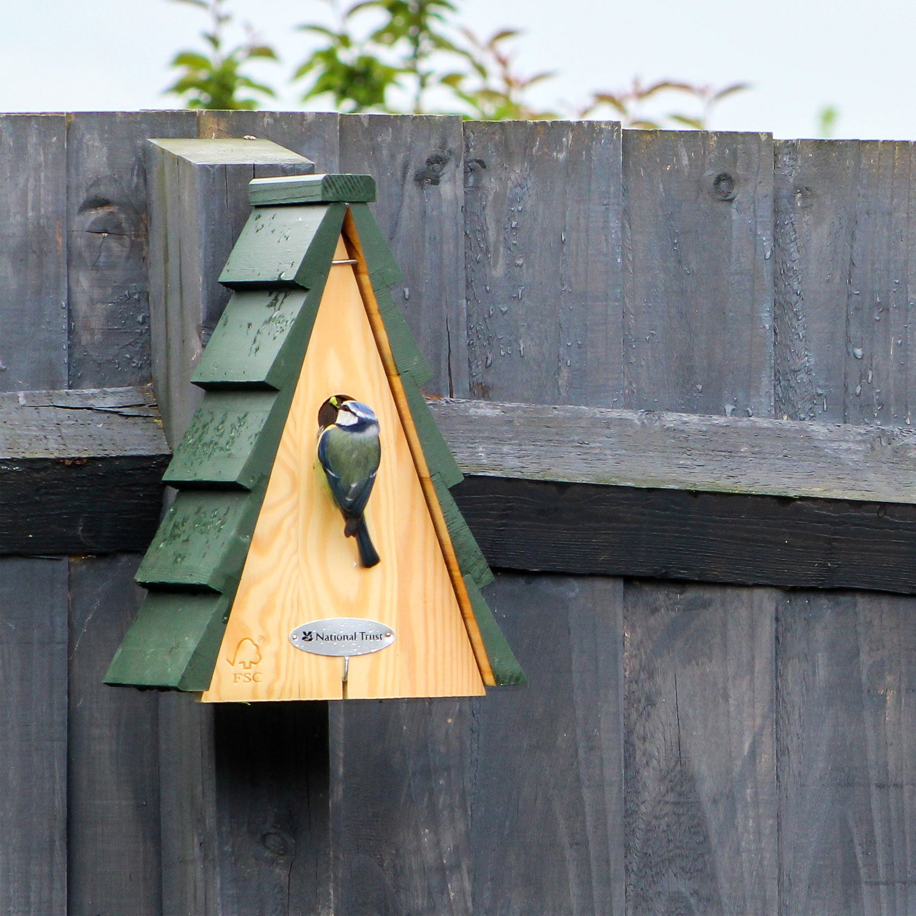 National Trust aspen larch 28mm nest box