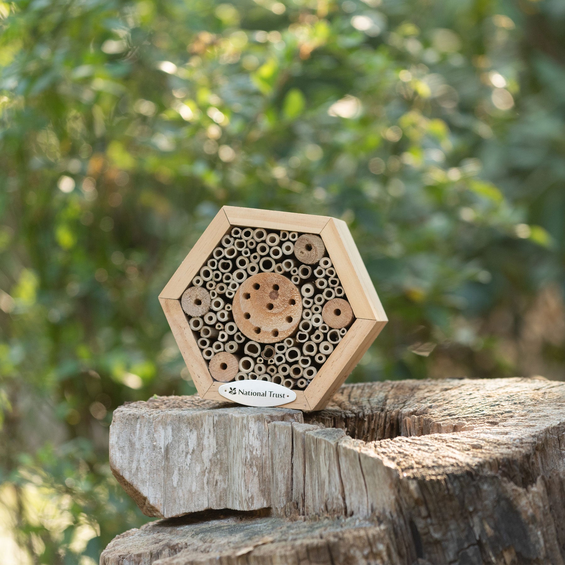 National Trust hexagon insect house