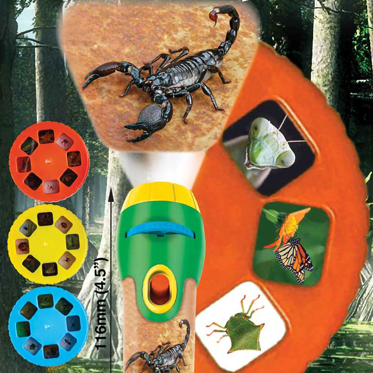 Natural History Museum creepy crawly torch and projector