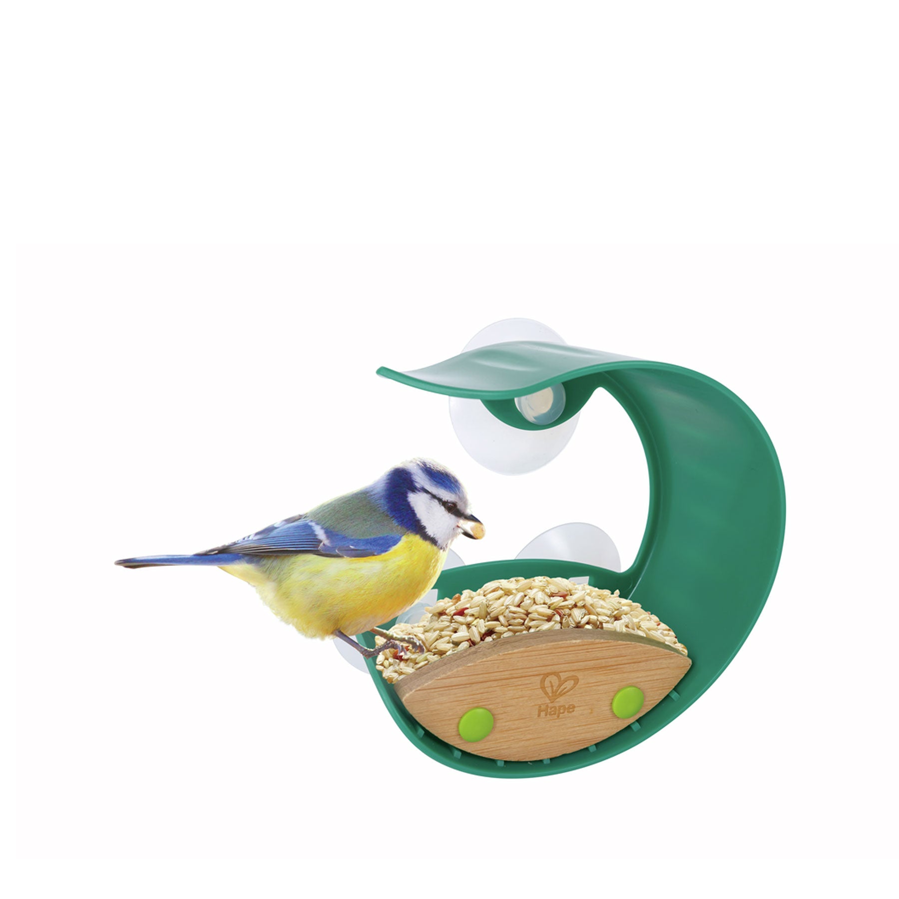 Nature fun window bird feeder