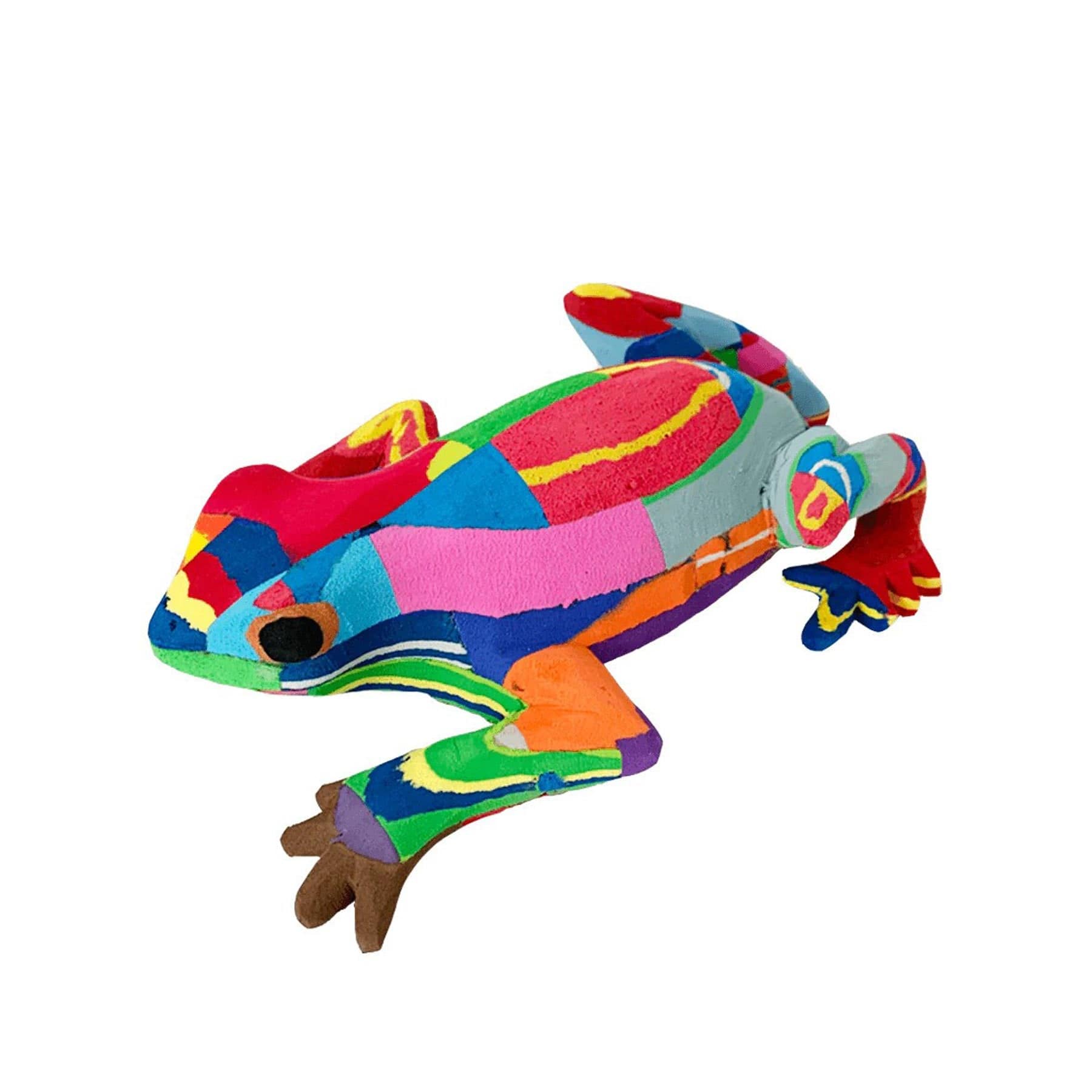 Ocean sole frog