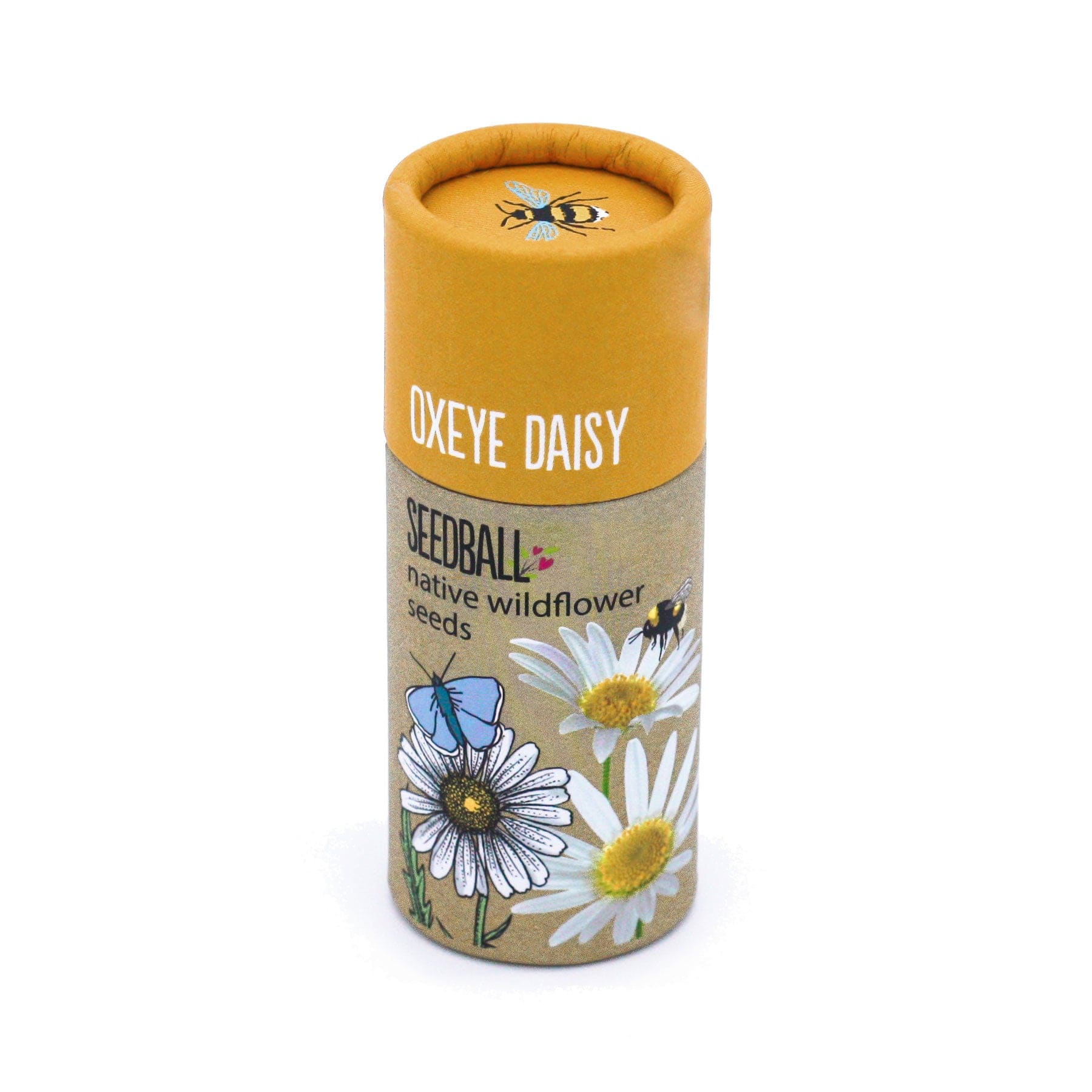 Oxeye daisy tube