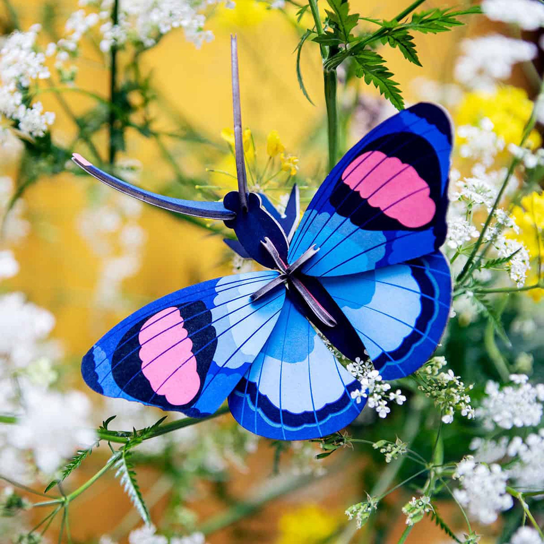 Peacock butterfly wall art