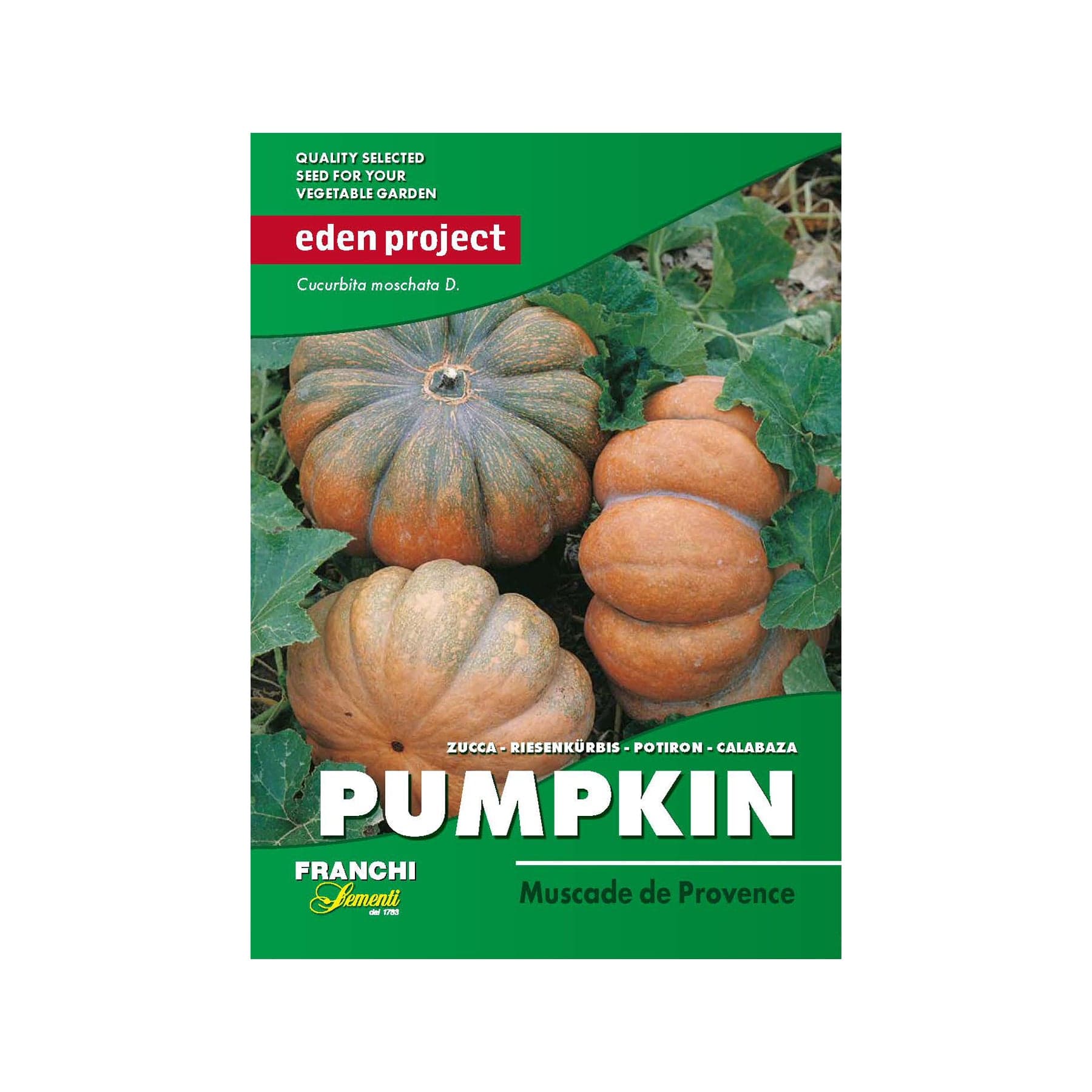 eden garden seeds Pumpkin moscade seeds