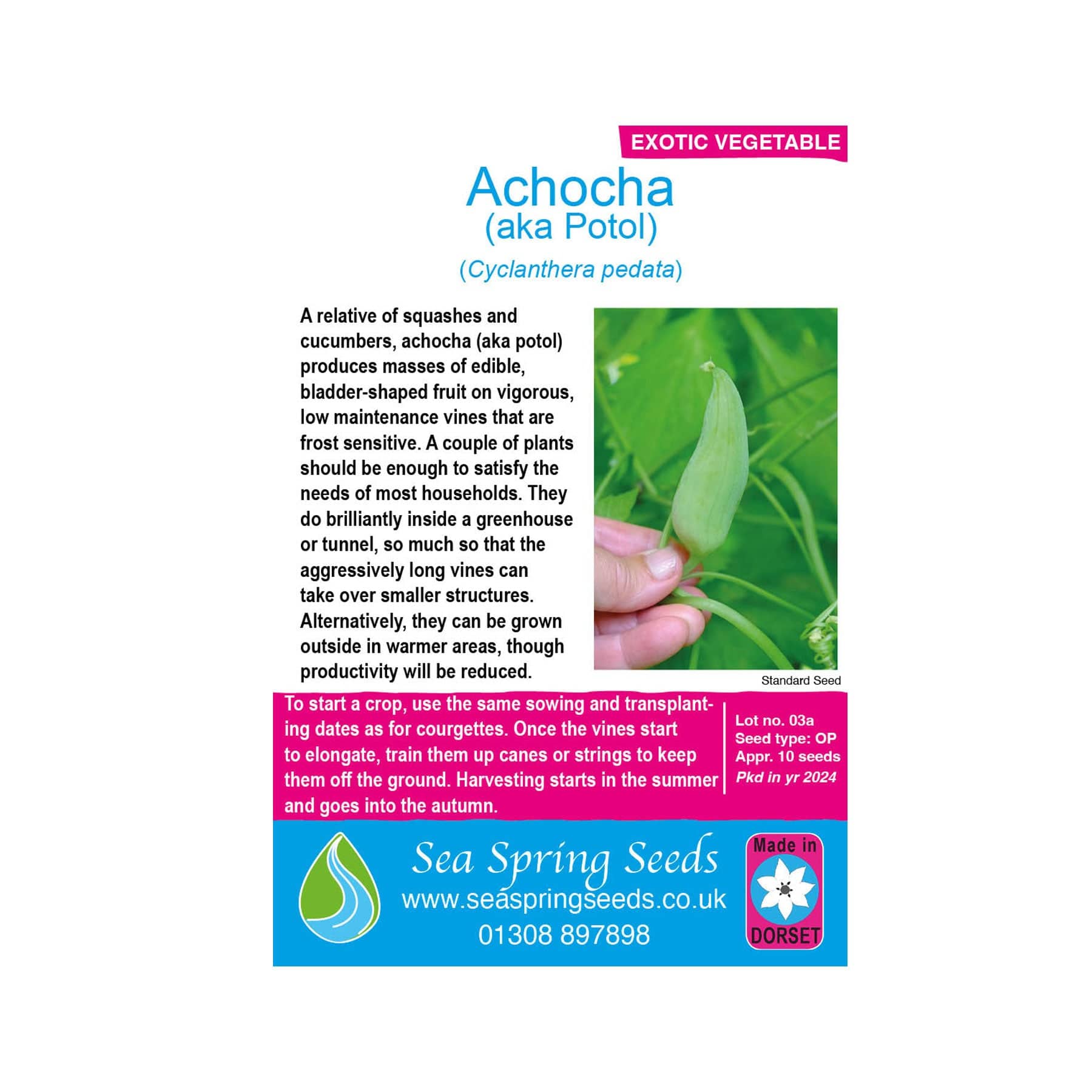 Achocha seeds