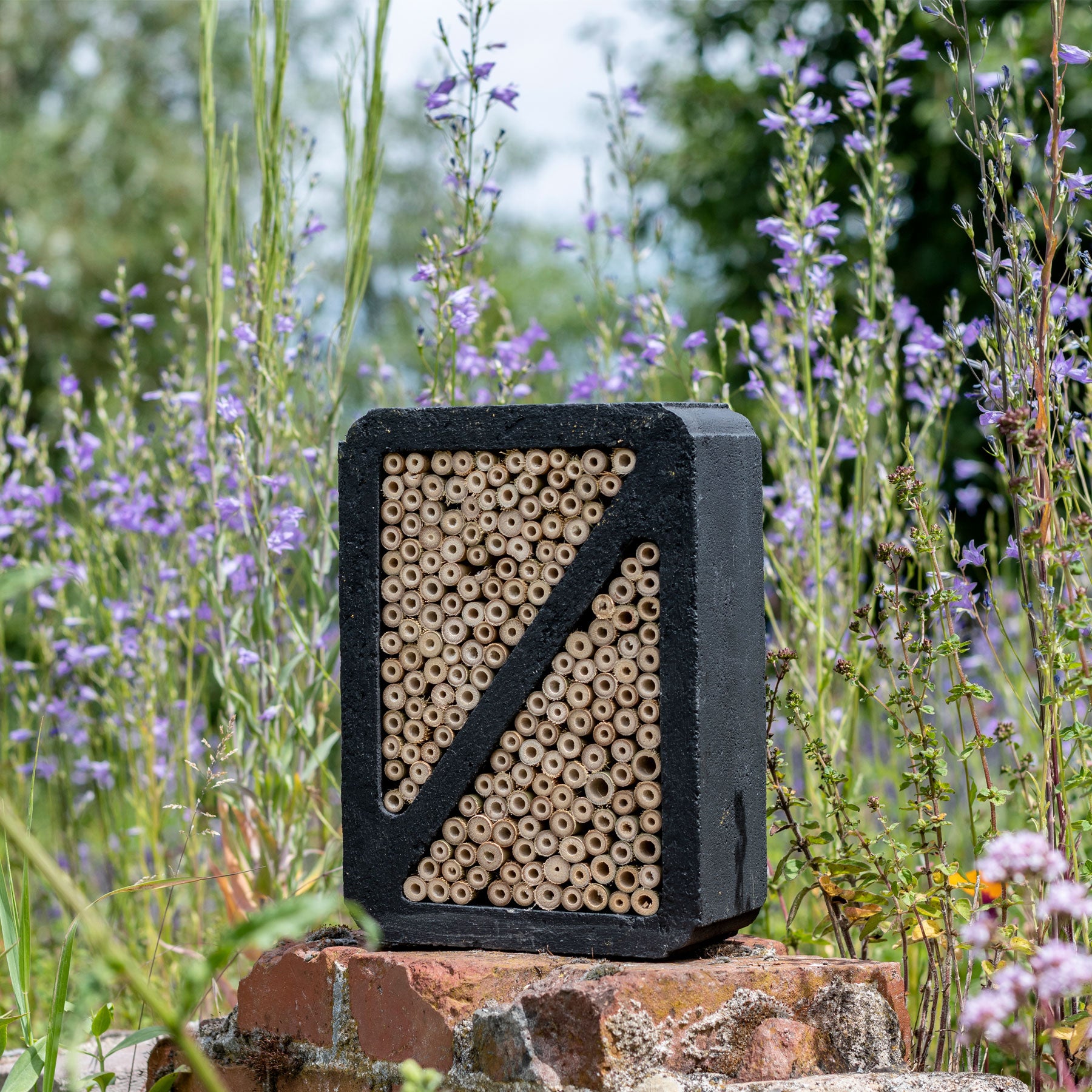 Salina bee & insect hotel black