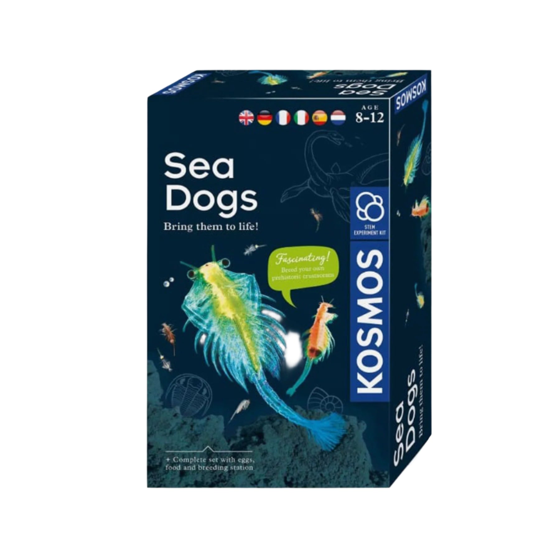 Sea dogs