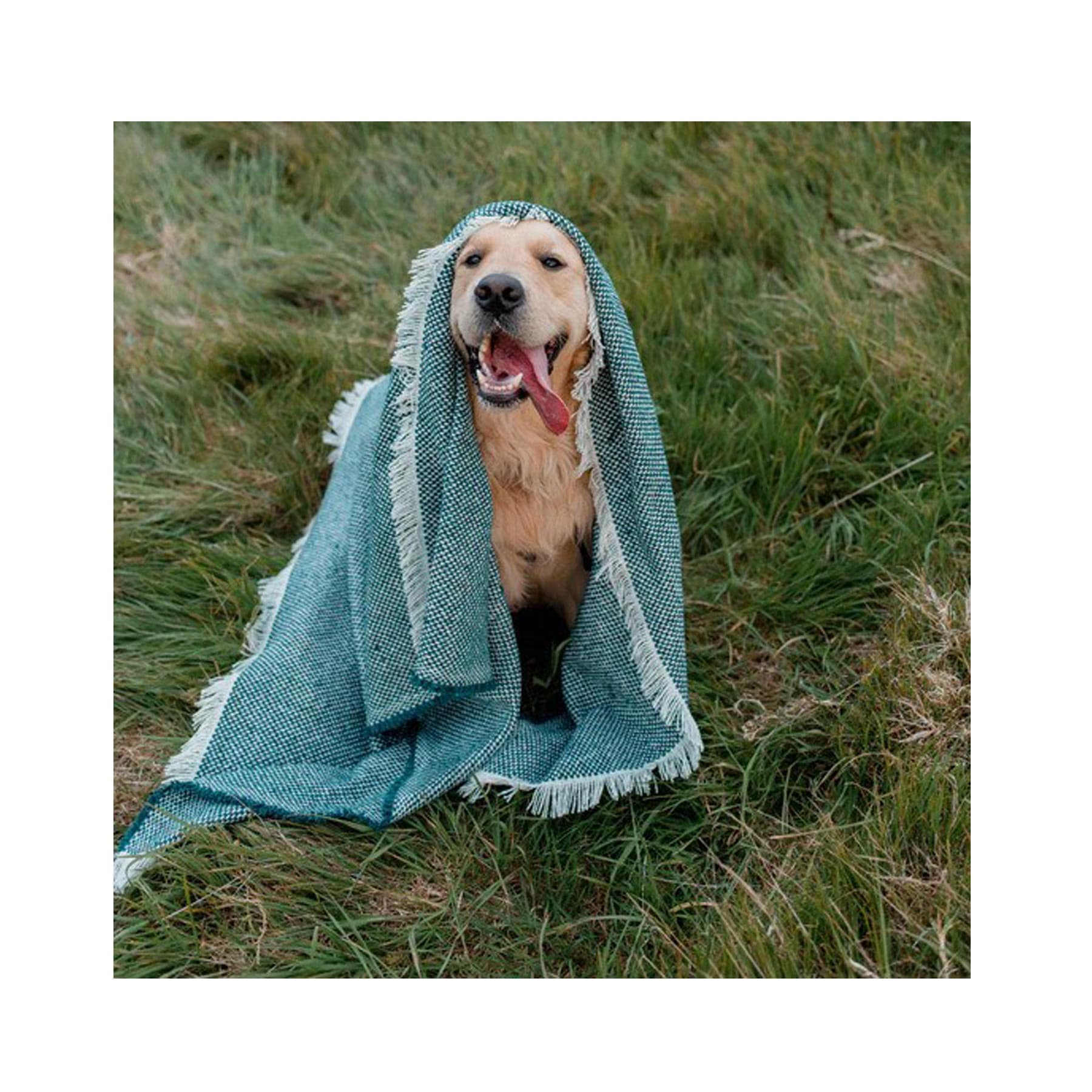 Sea green recycled wool blanket