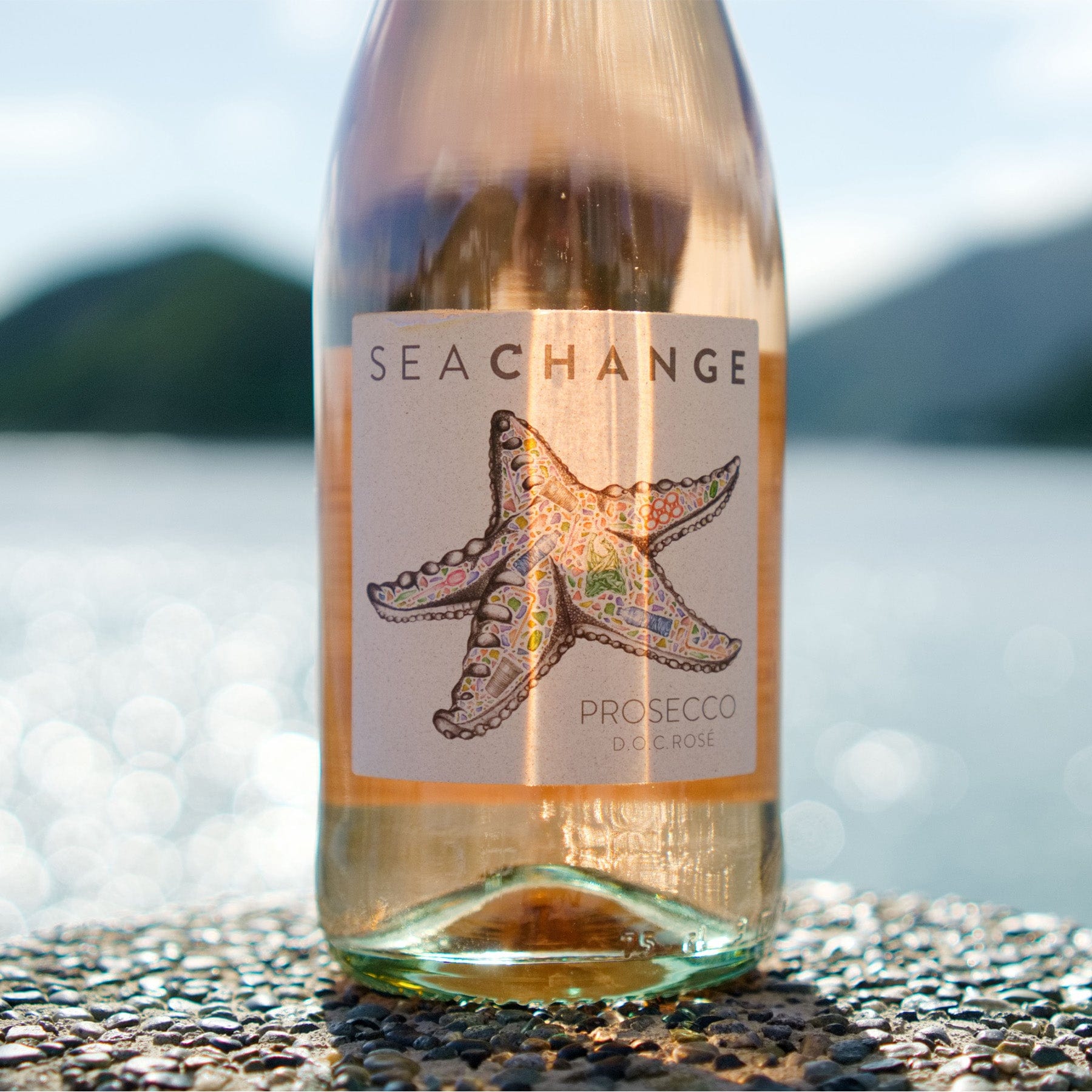 Bottle of Seachange Prosecco rosé with starfish label on pebble beach with sunlit water backdrop