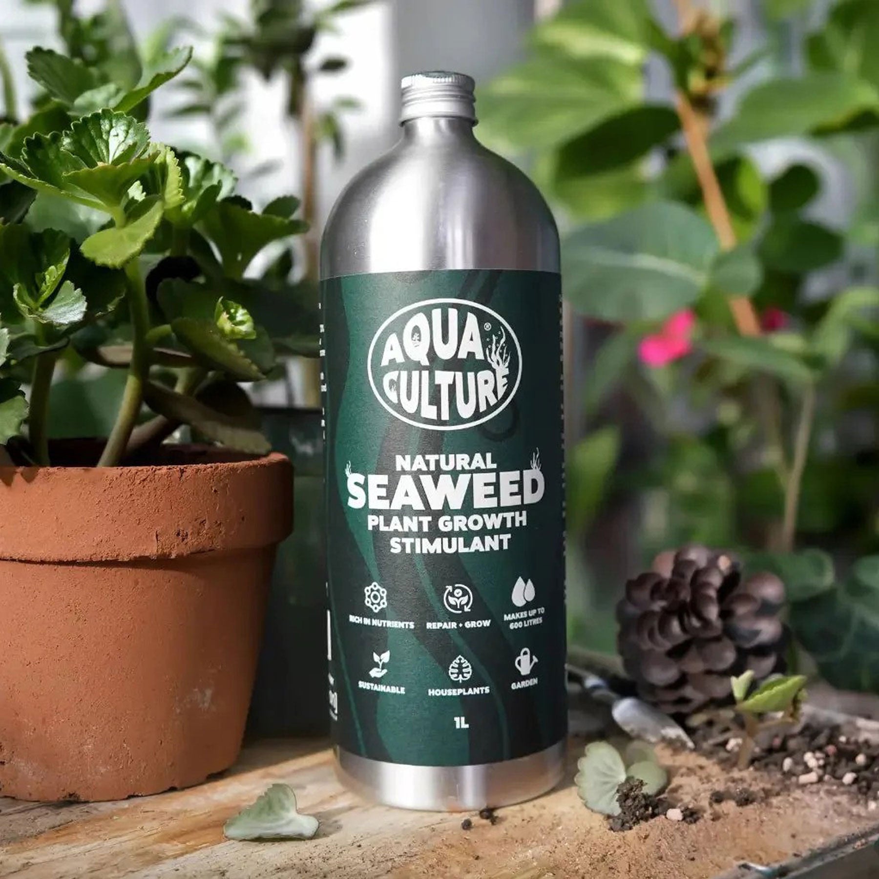 Seaweed plant growth stimulant 1L