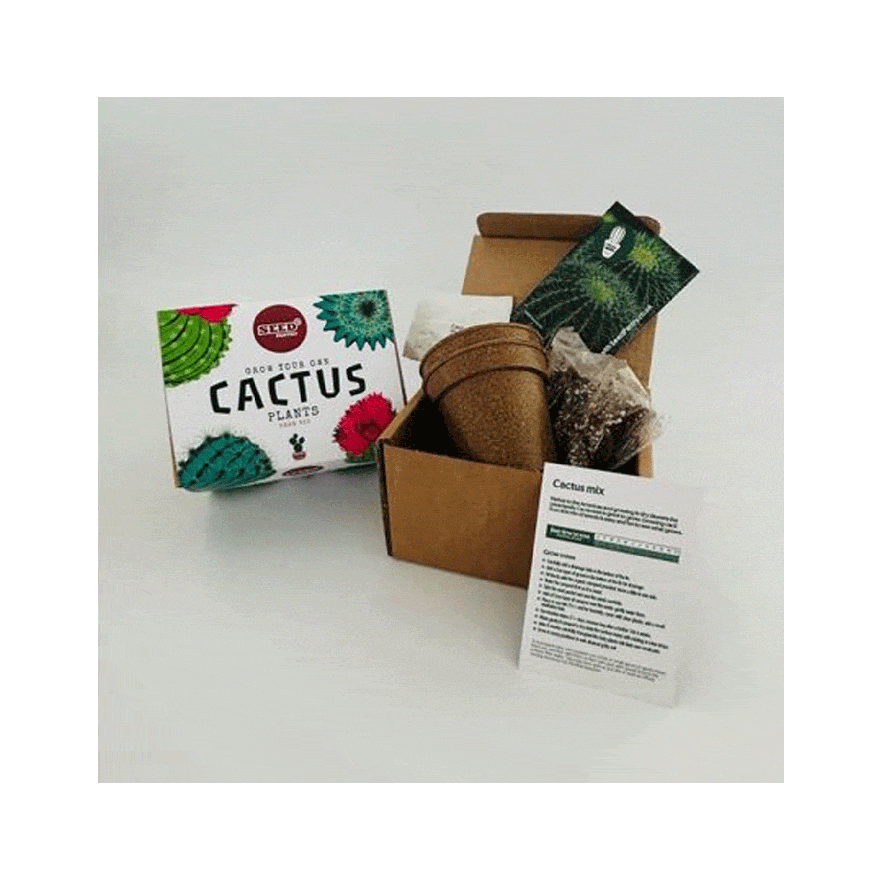 Cactus mix seed kit
