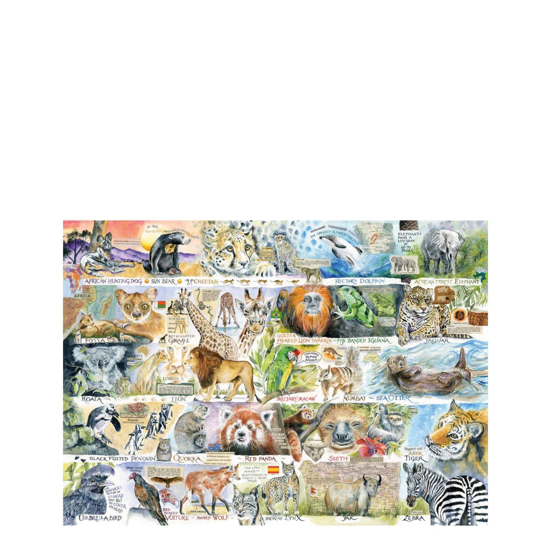 Sun bears & sloths 1000 piece jigsaw puzzle