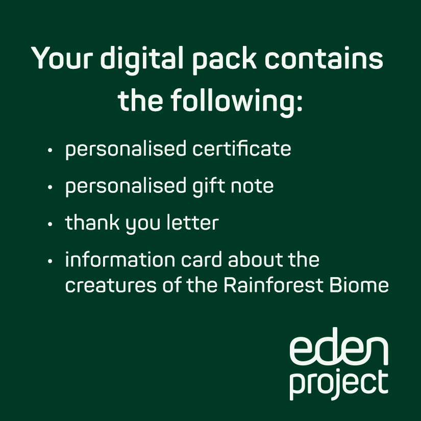 Adopt a Gecko (Digital)