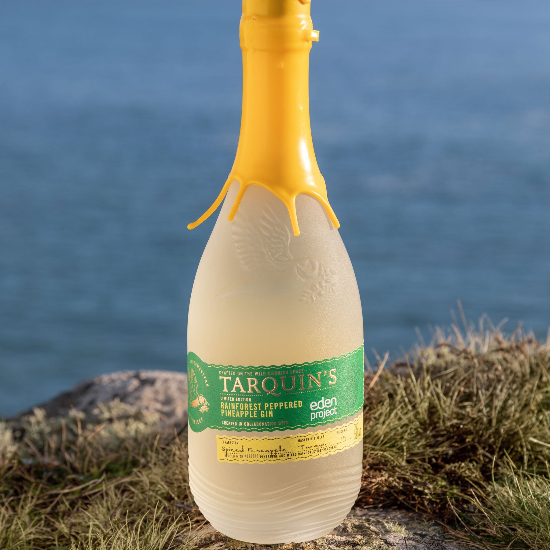 Eden Project rainforest gin 70cl