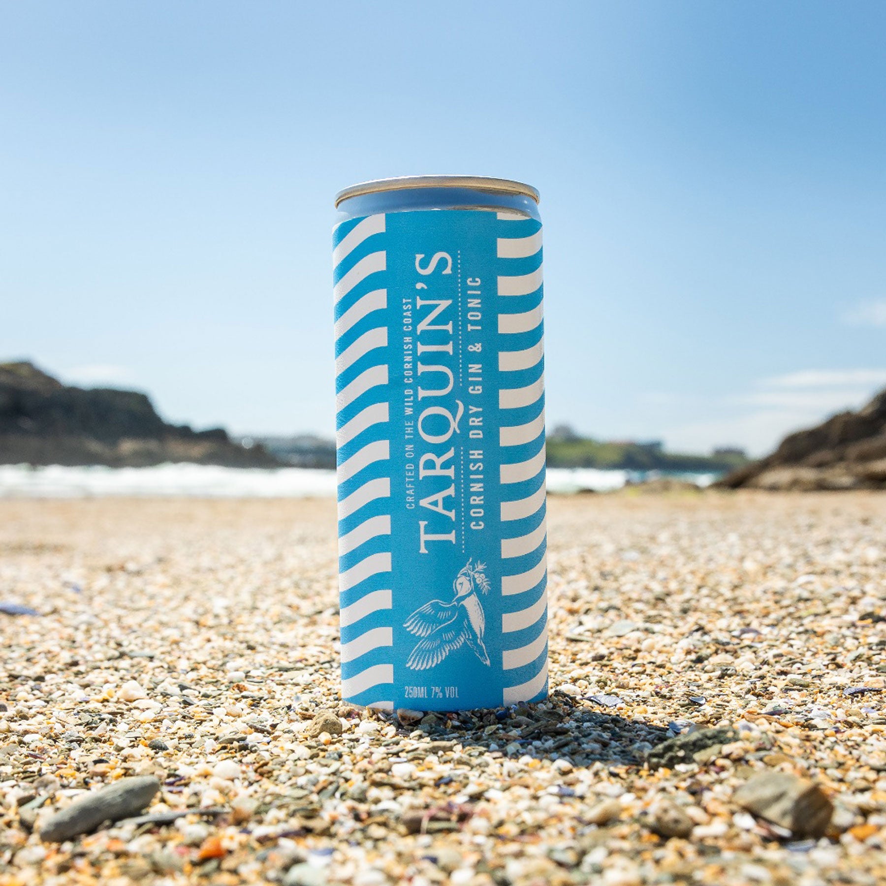 Cornish dry gin and tonic 250ml