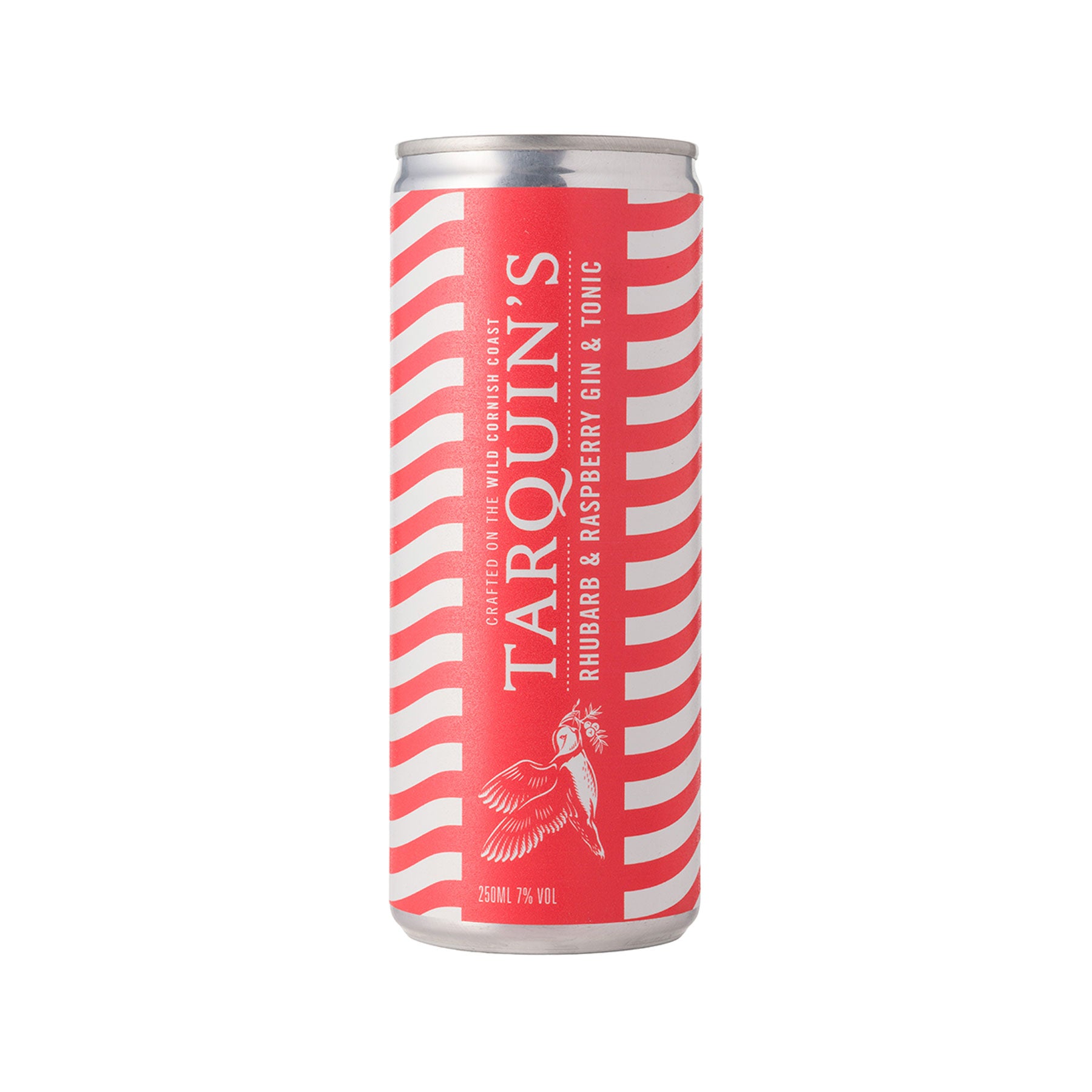 Rhubarb & raspberry gin and tonic 250ml