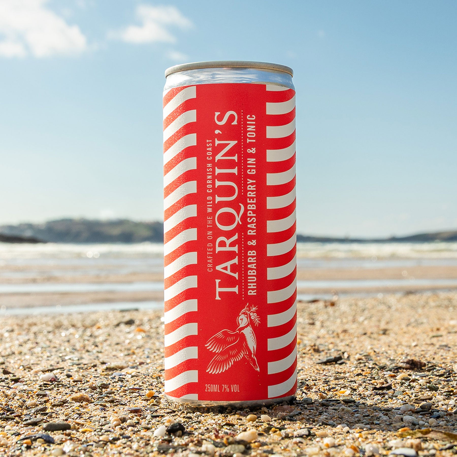Rhubarb & raspberry gin and tonic 250ml