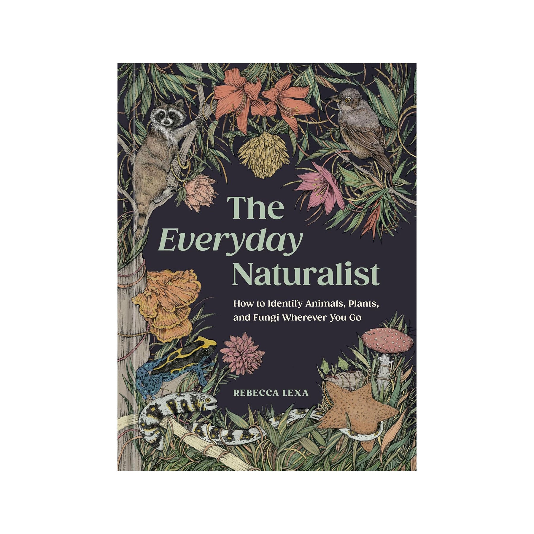 The everyday naturalist