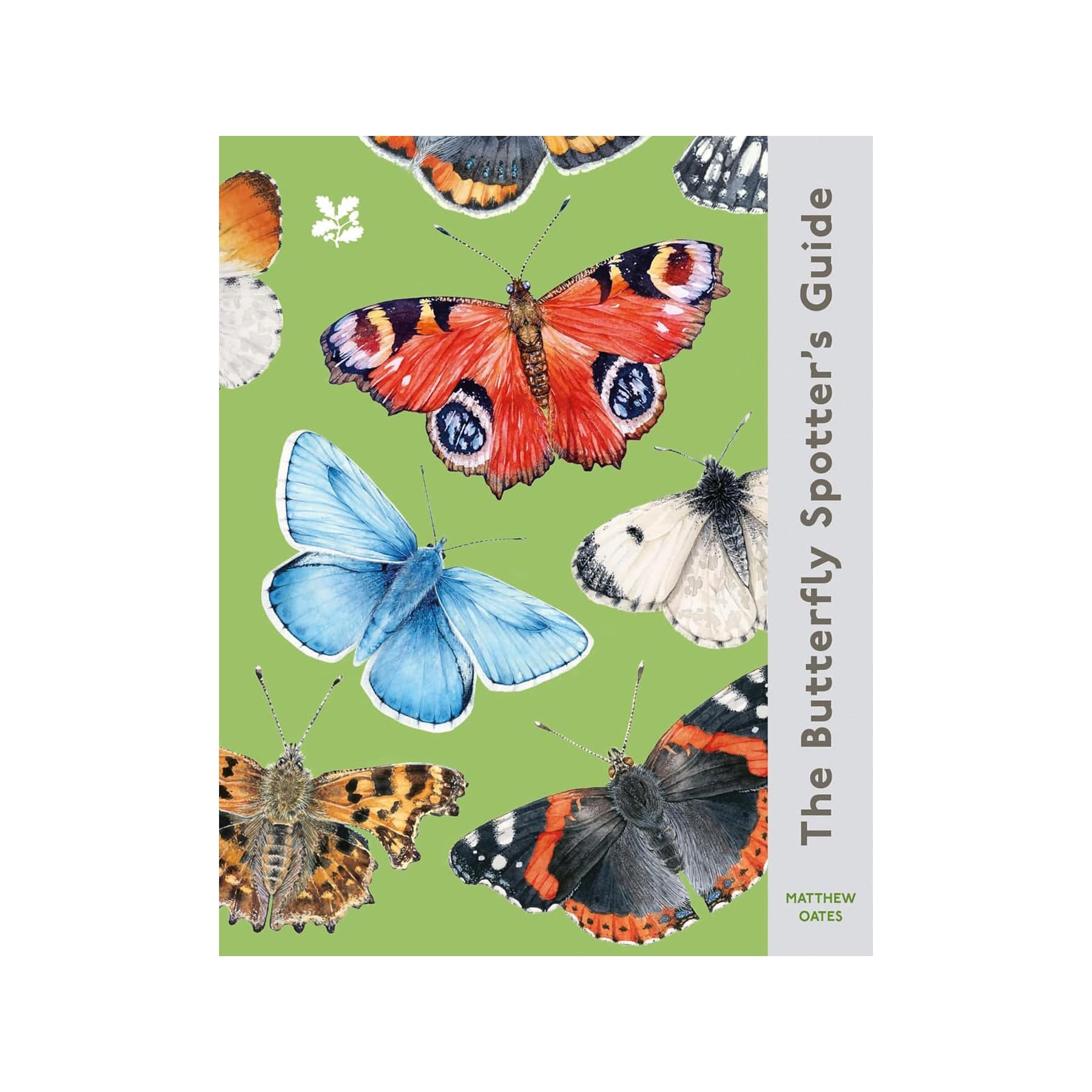 The butterfly spotters guide