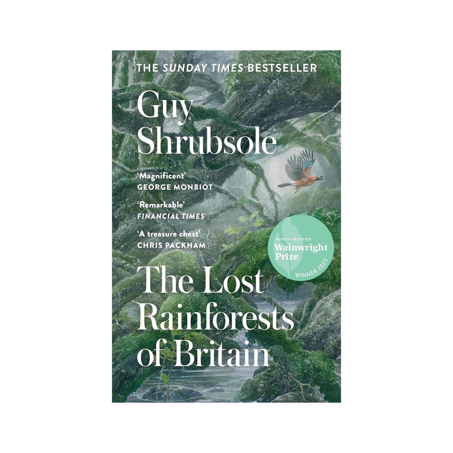 The lost rainforests of Britain