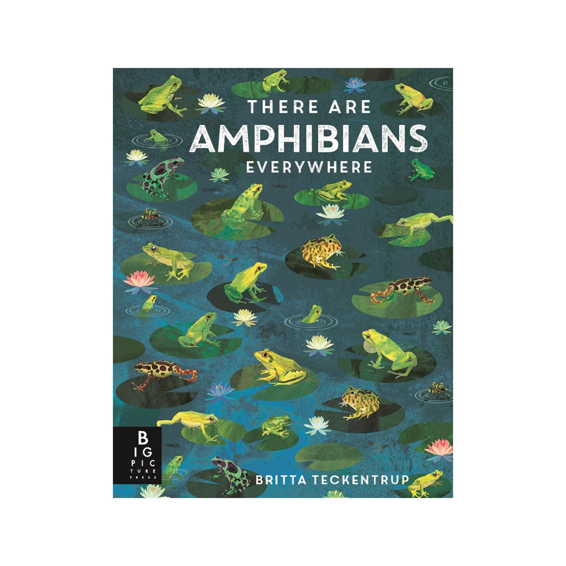 There are amphibians everywhere