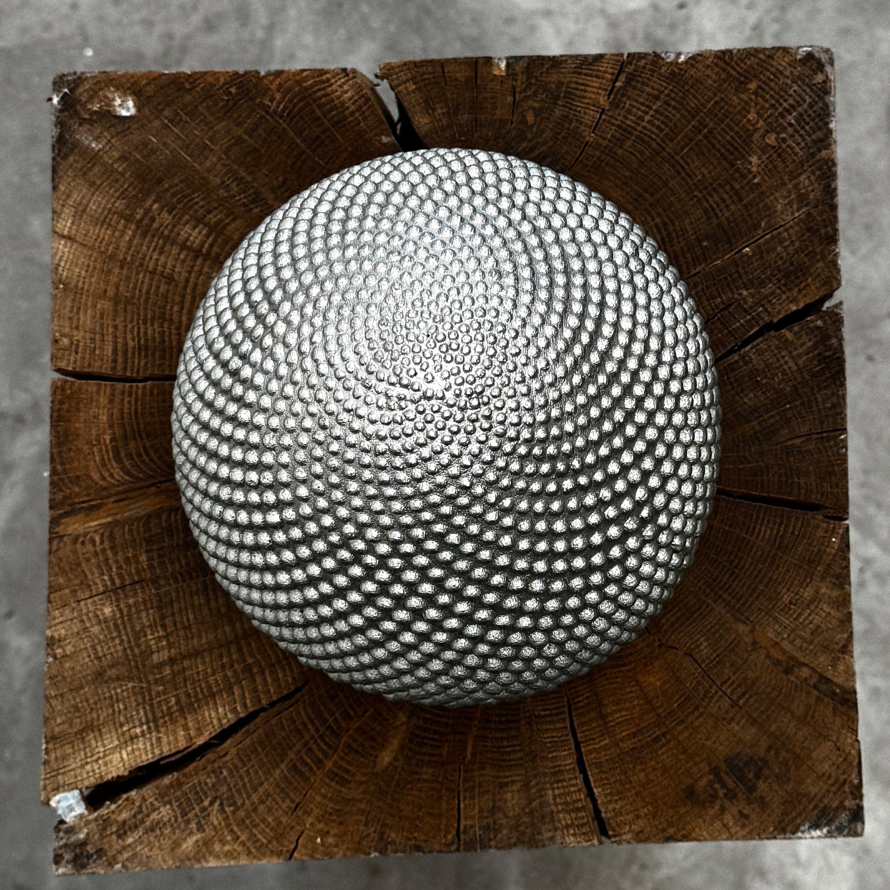 Tin Seed Ltd Edition
