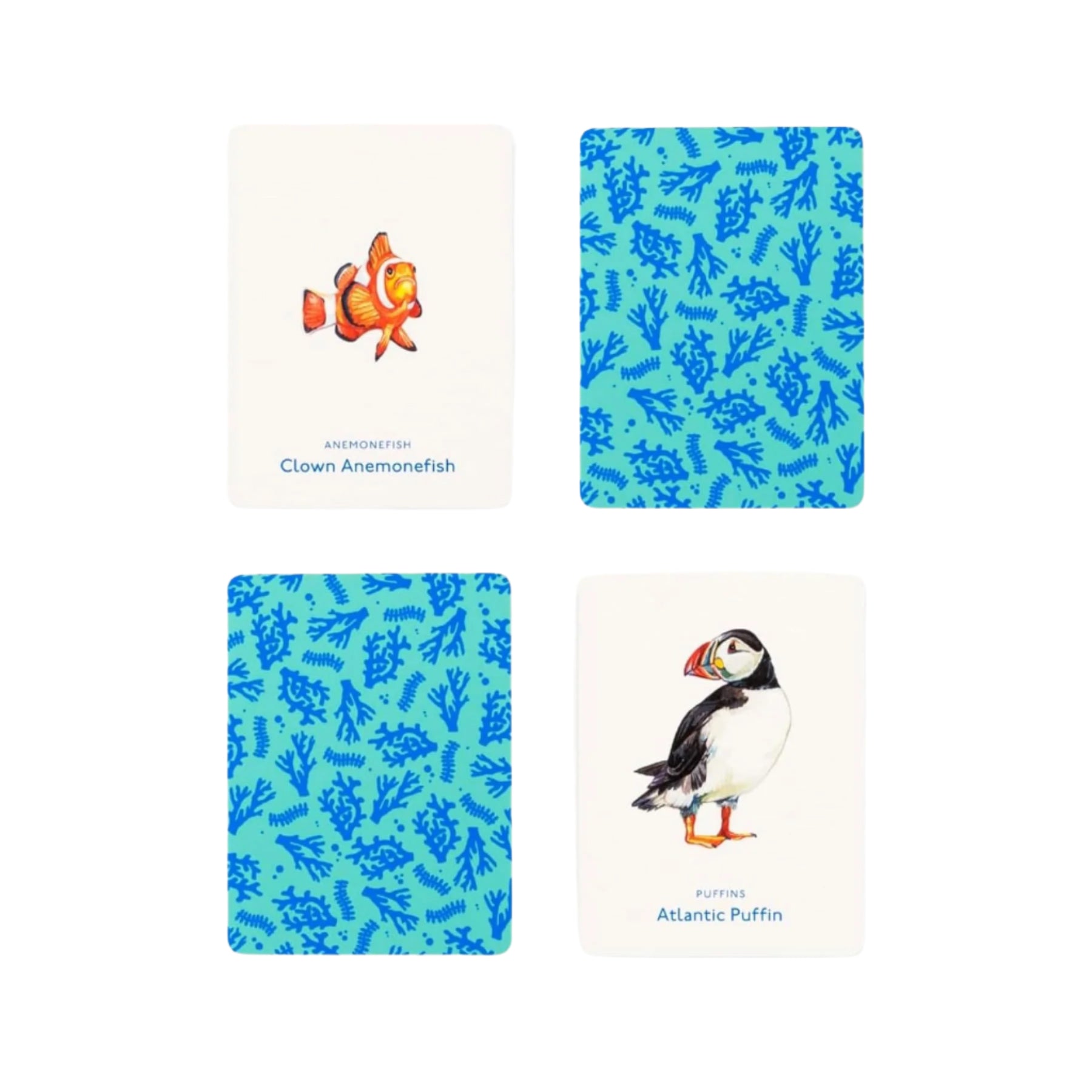 Under the sea: an ocean memory game