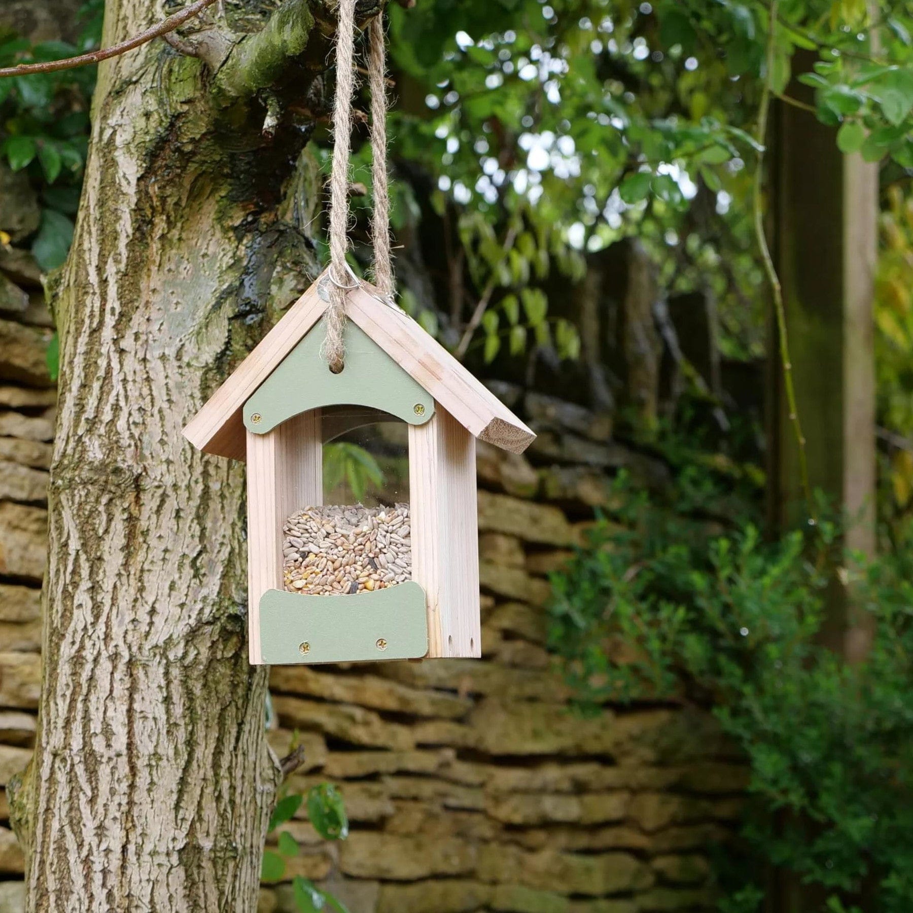 Wooden bird feeder hanging on tree branch filled with birdseed in a garden with stone wall background