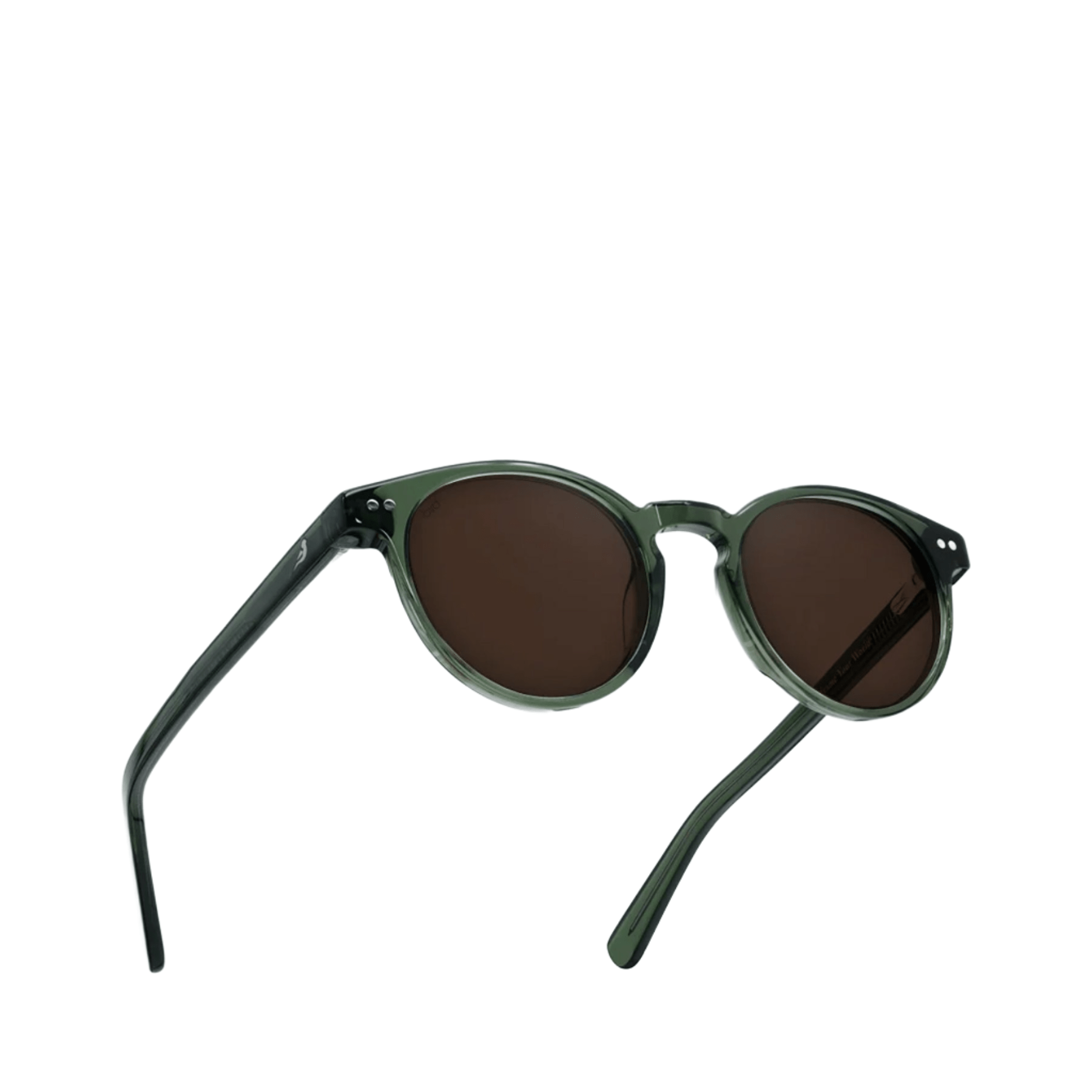 Tawny sunglasses olive