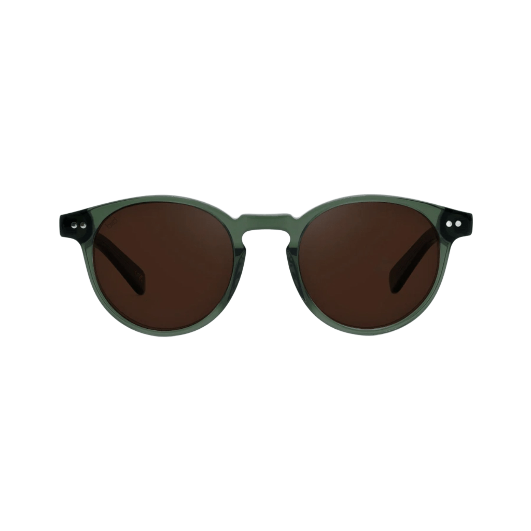 Tawny sunglasses olive