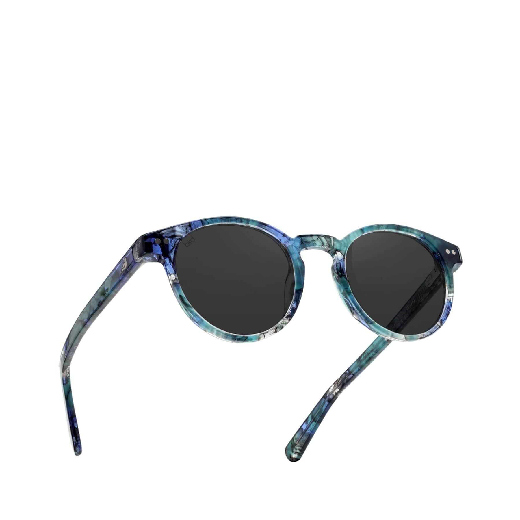 Tawny sunglasses reef