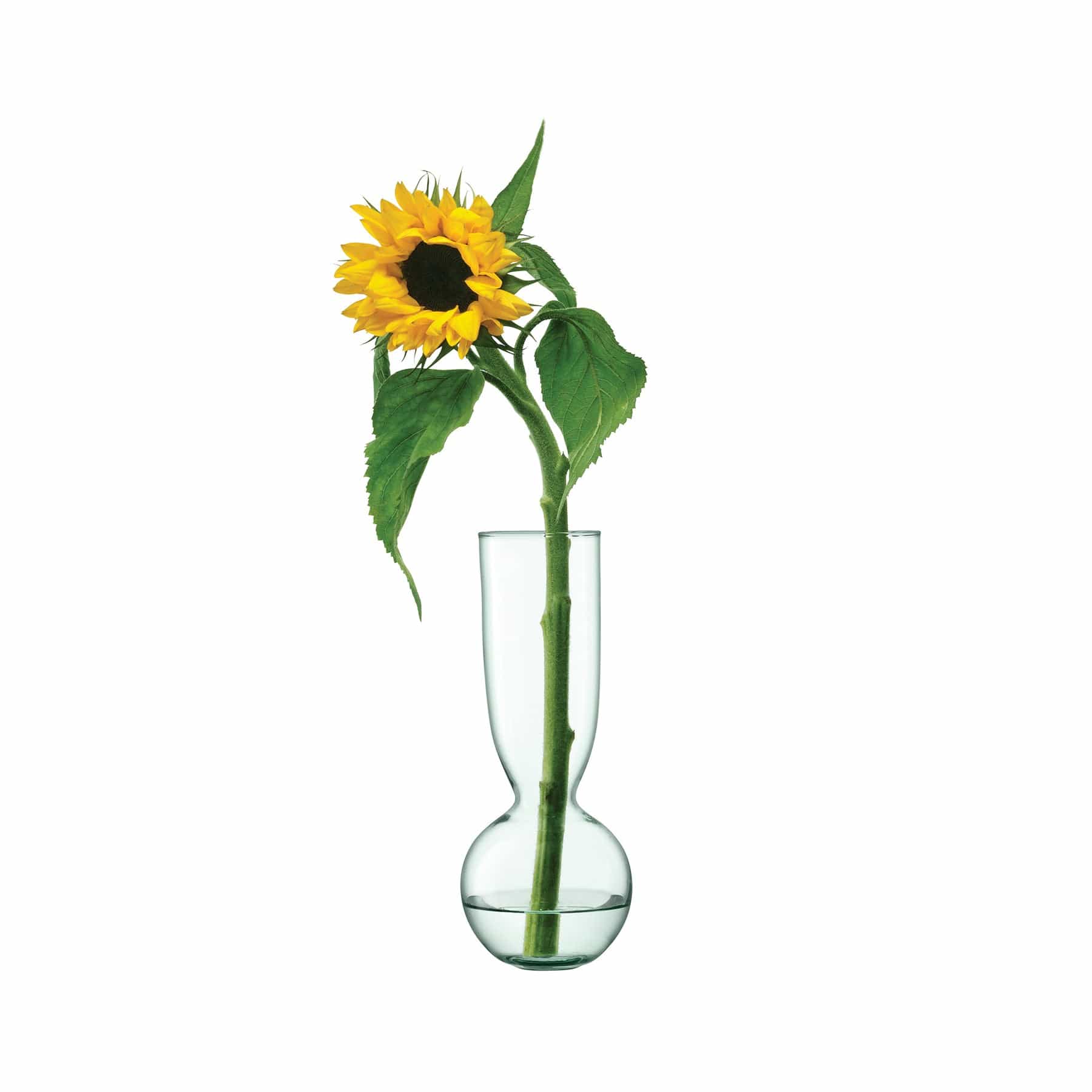 Canopy trio vase set H25cm / H30cm / H35cm