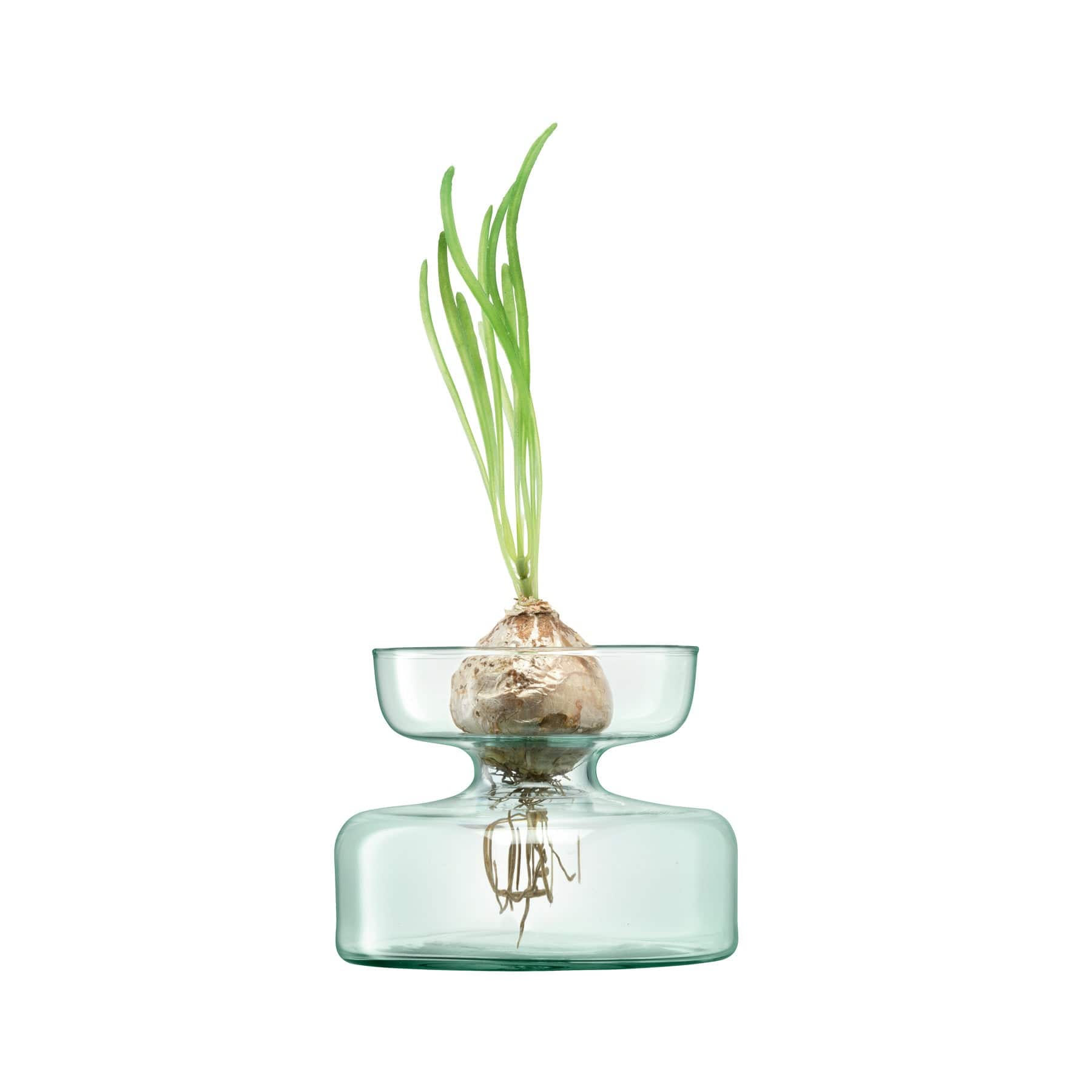 Canopy vase/bulb planter H10cm
