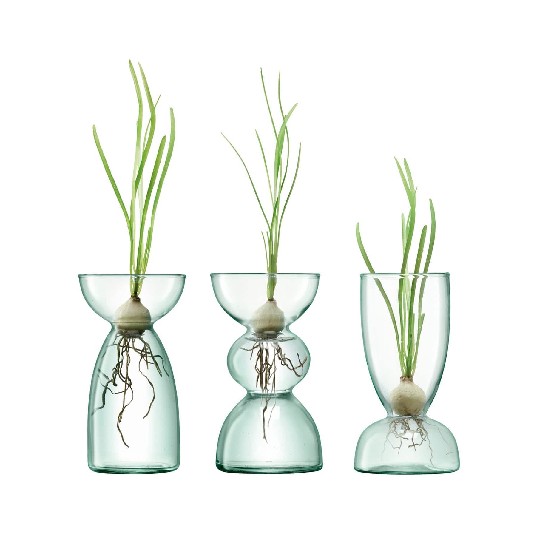 Canopy vase trio set H13cm