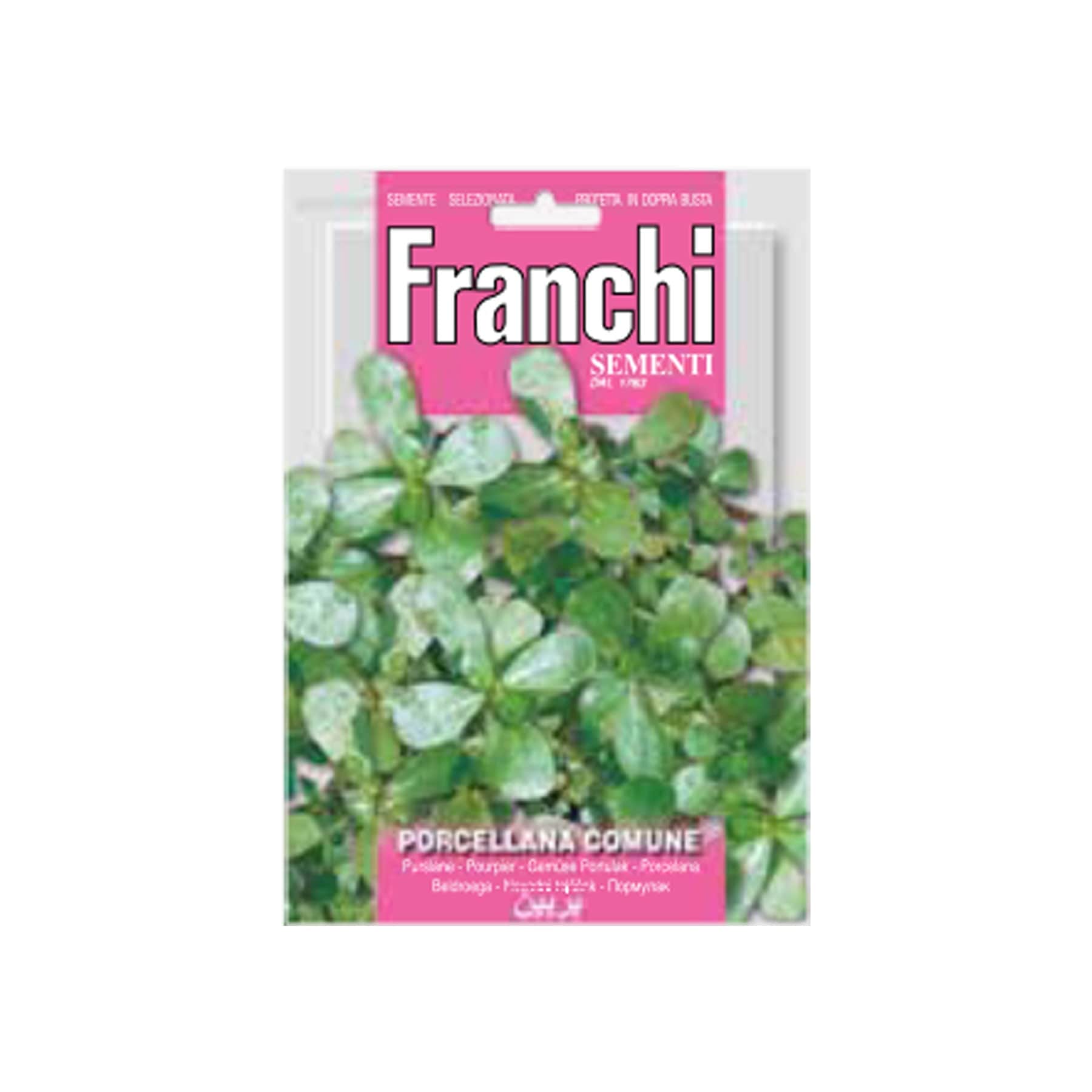 Common purslane